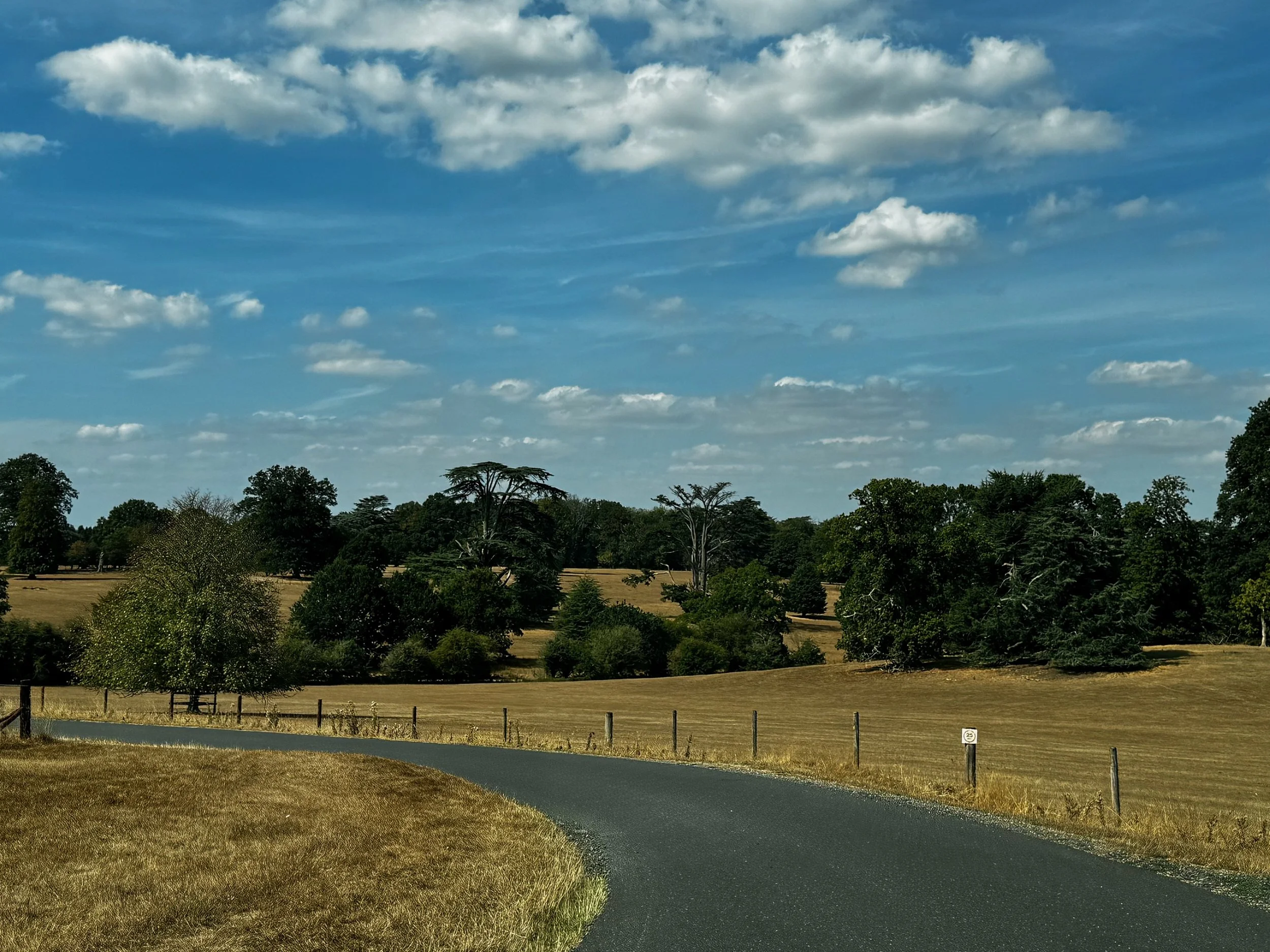 Marking Time:                               In Search of Stillness