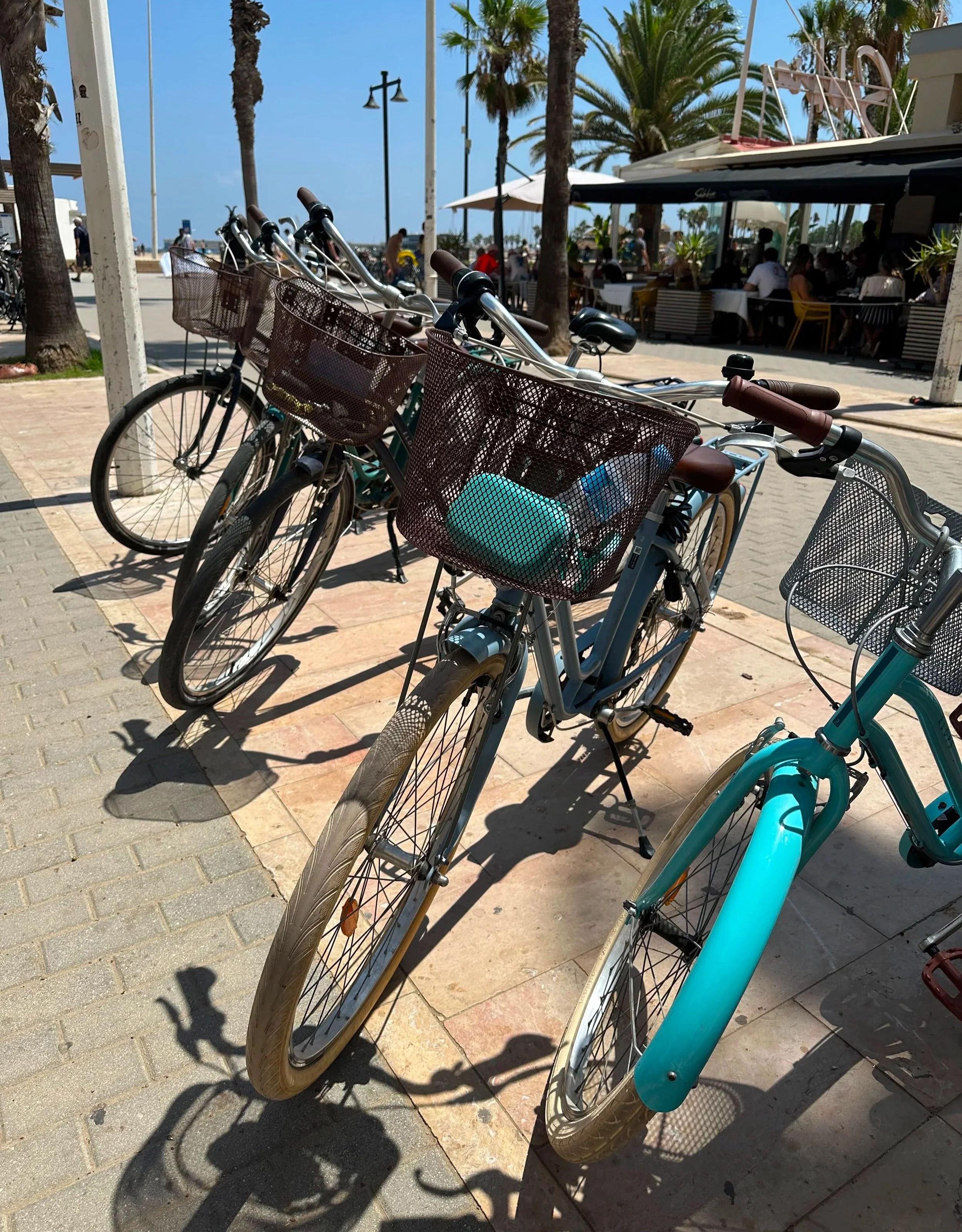 A long bike ride to the beach.  And now, time for a quick snack. 