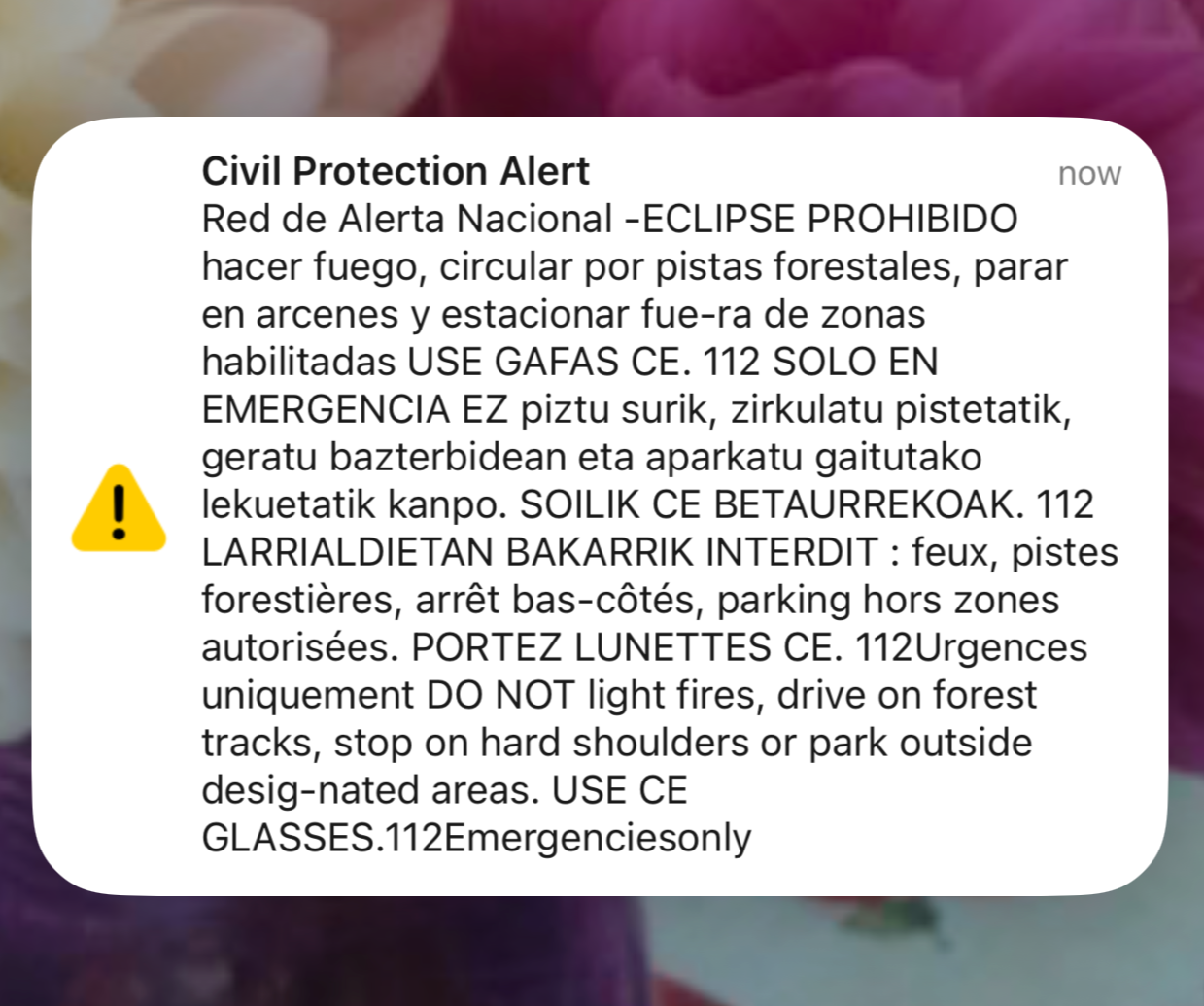 We received red alerts on our phones warning us about the eclipse, first in Spanish, then Basque, followed by French, and at the end in English.  