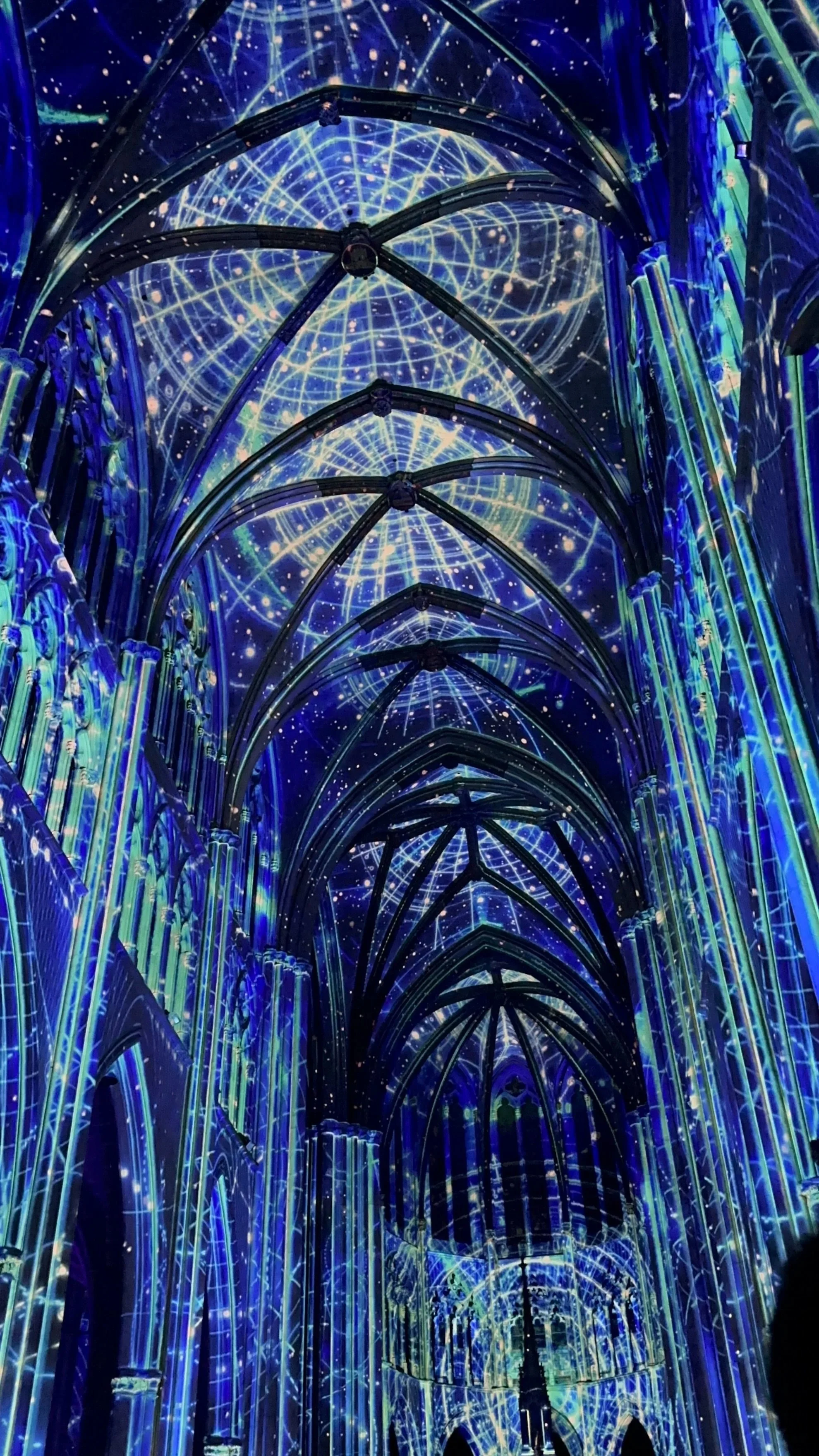 The colors and designs were amazing, and watching them morph into other colors and designs to the rhythm of the music was mesmerizing. 