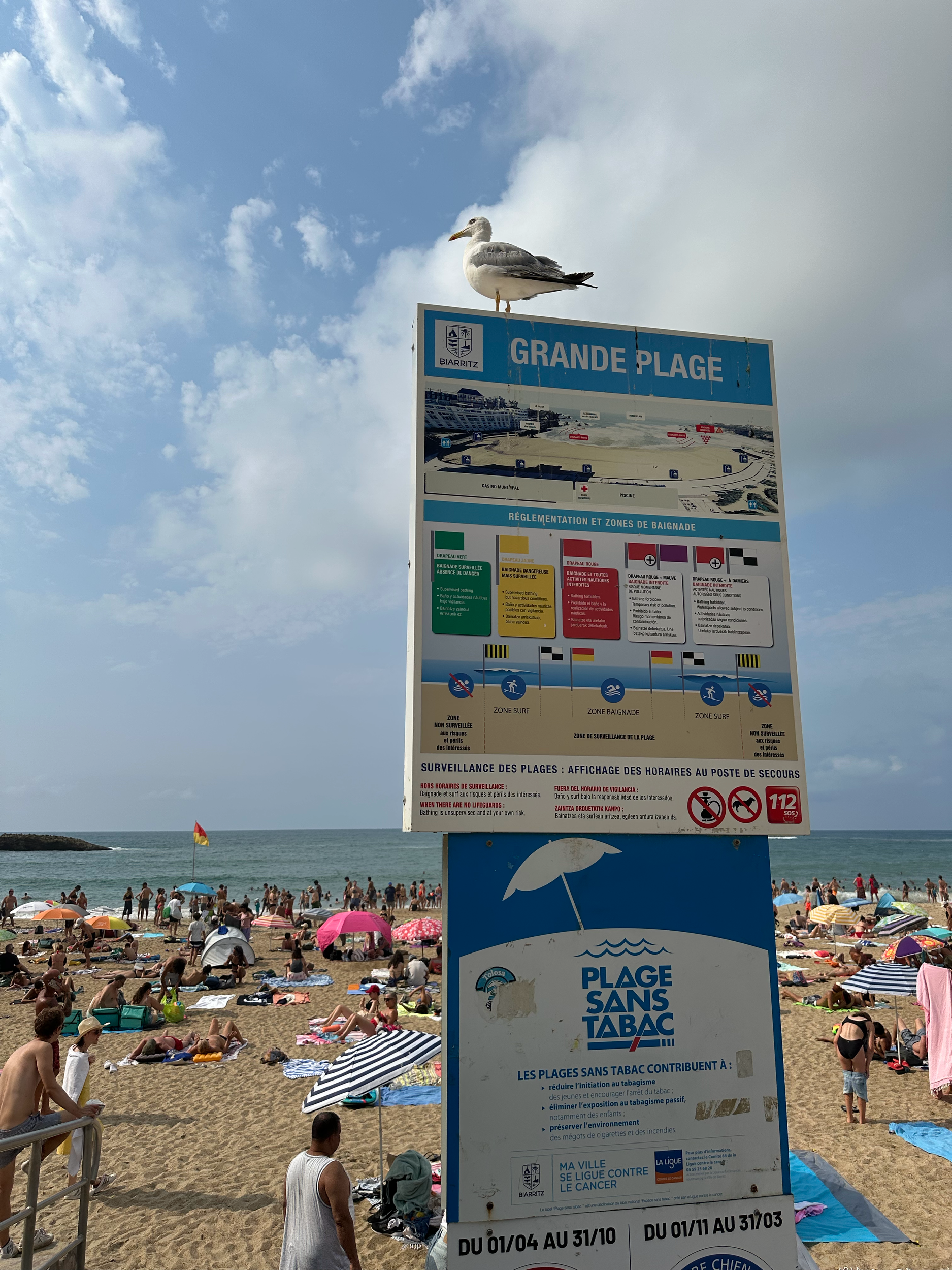 The beach was well marked with flags indicating locations for swimming, surfing, and areas to stay away from due to the rocks under the water.  