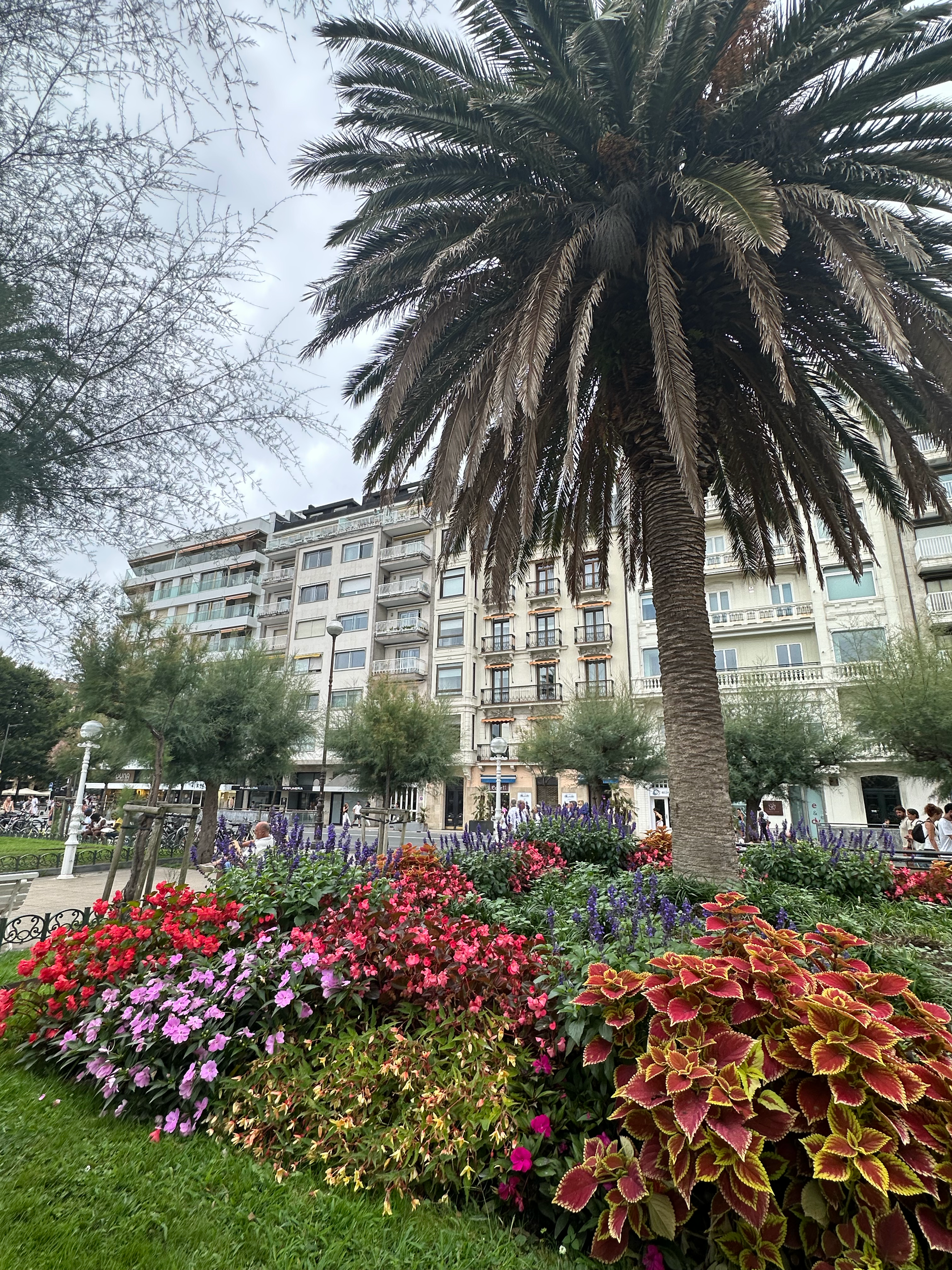 Alderdi Eder gardens is filled with palm trees and tamarind trees among colorful flower beds.