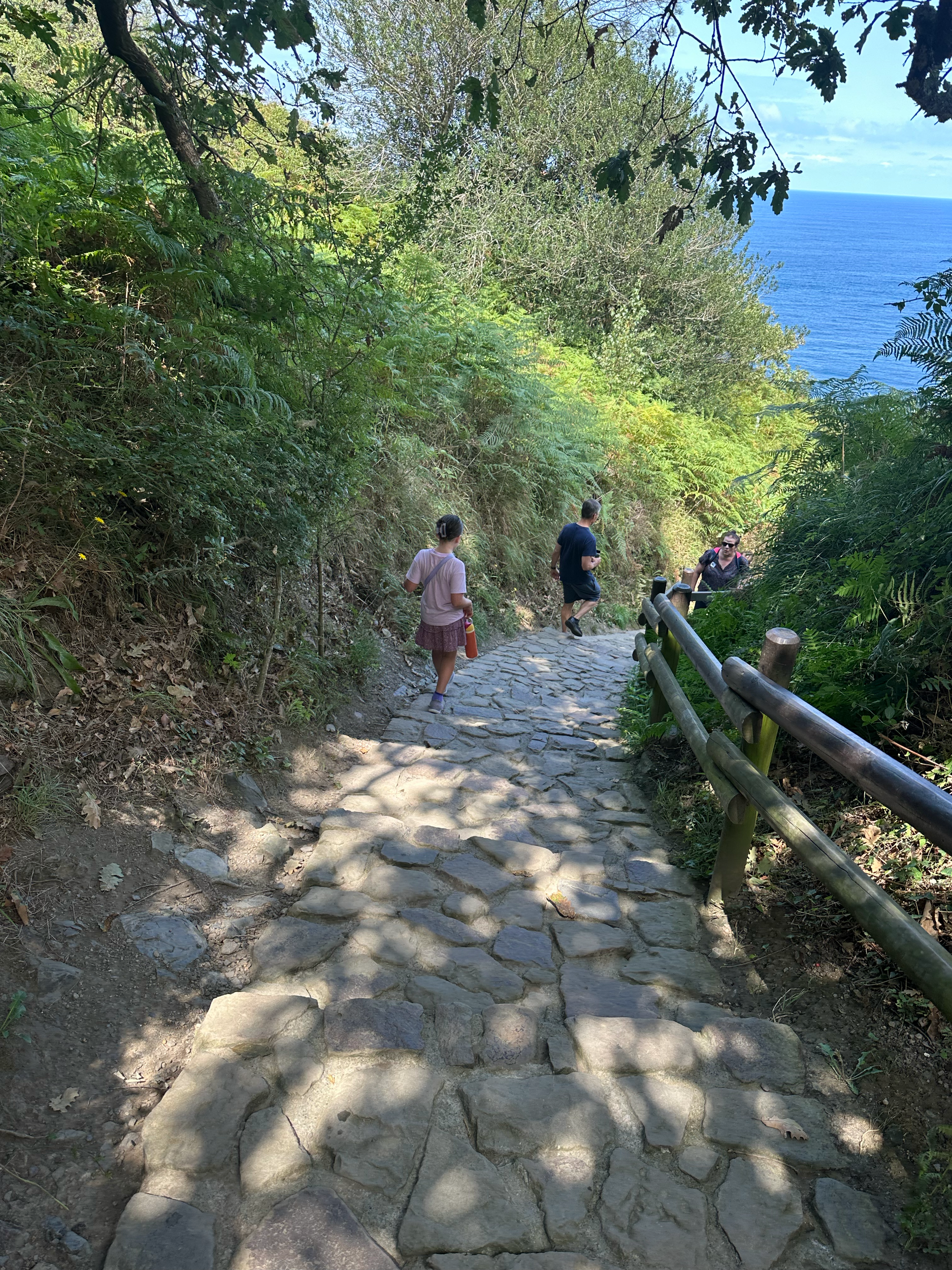 The path is growing steeper down to the water. 