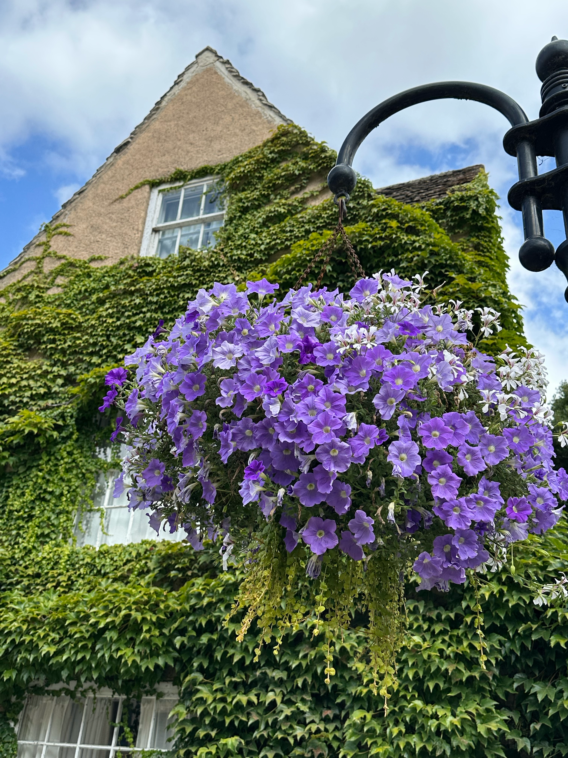 Ivy and hanging baskets always bring a smile to my face!