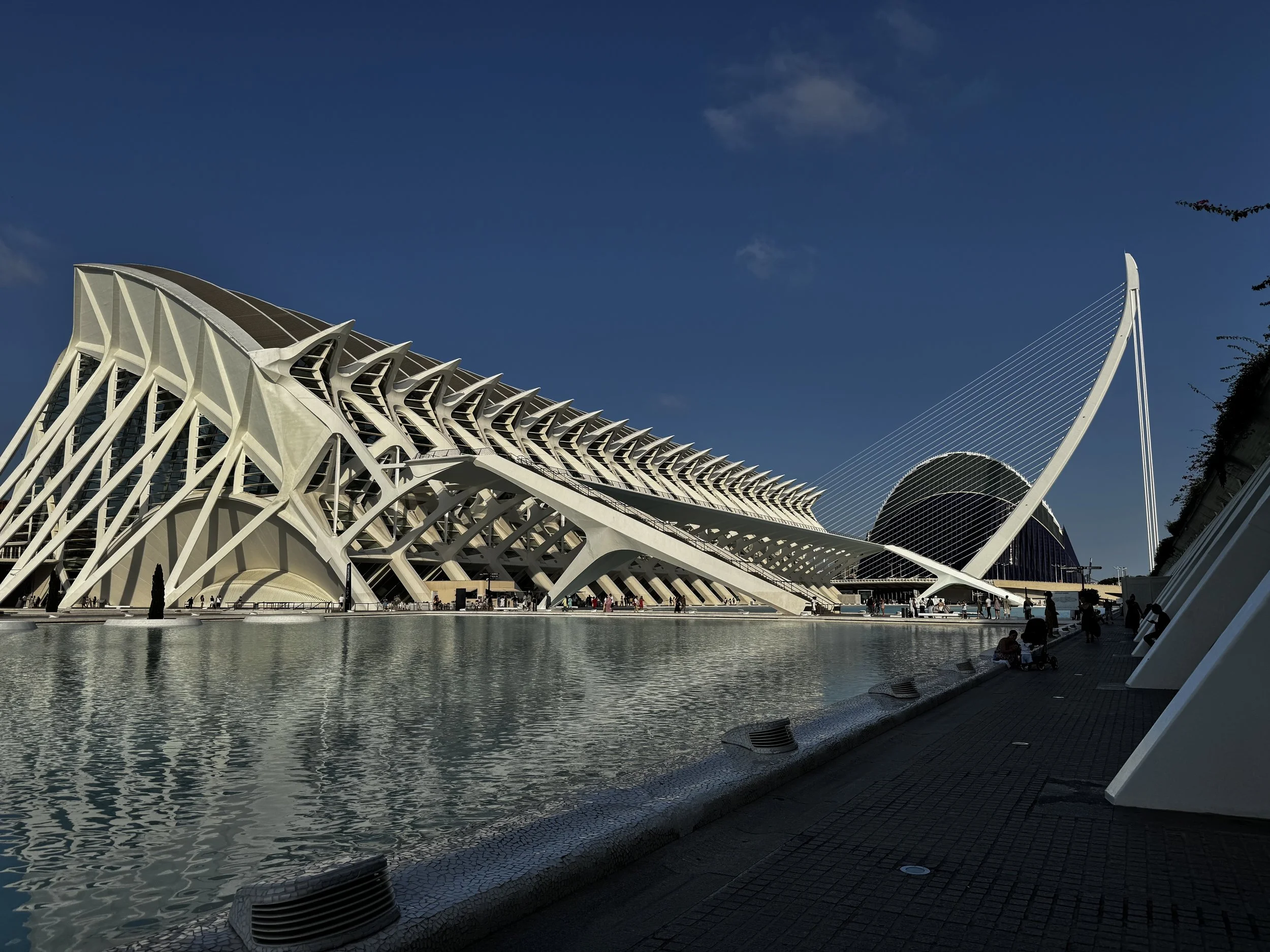 What marine-animal can you see?  The (Calatrava) architecture in the City of Arts and Sciences is amazing! 
