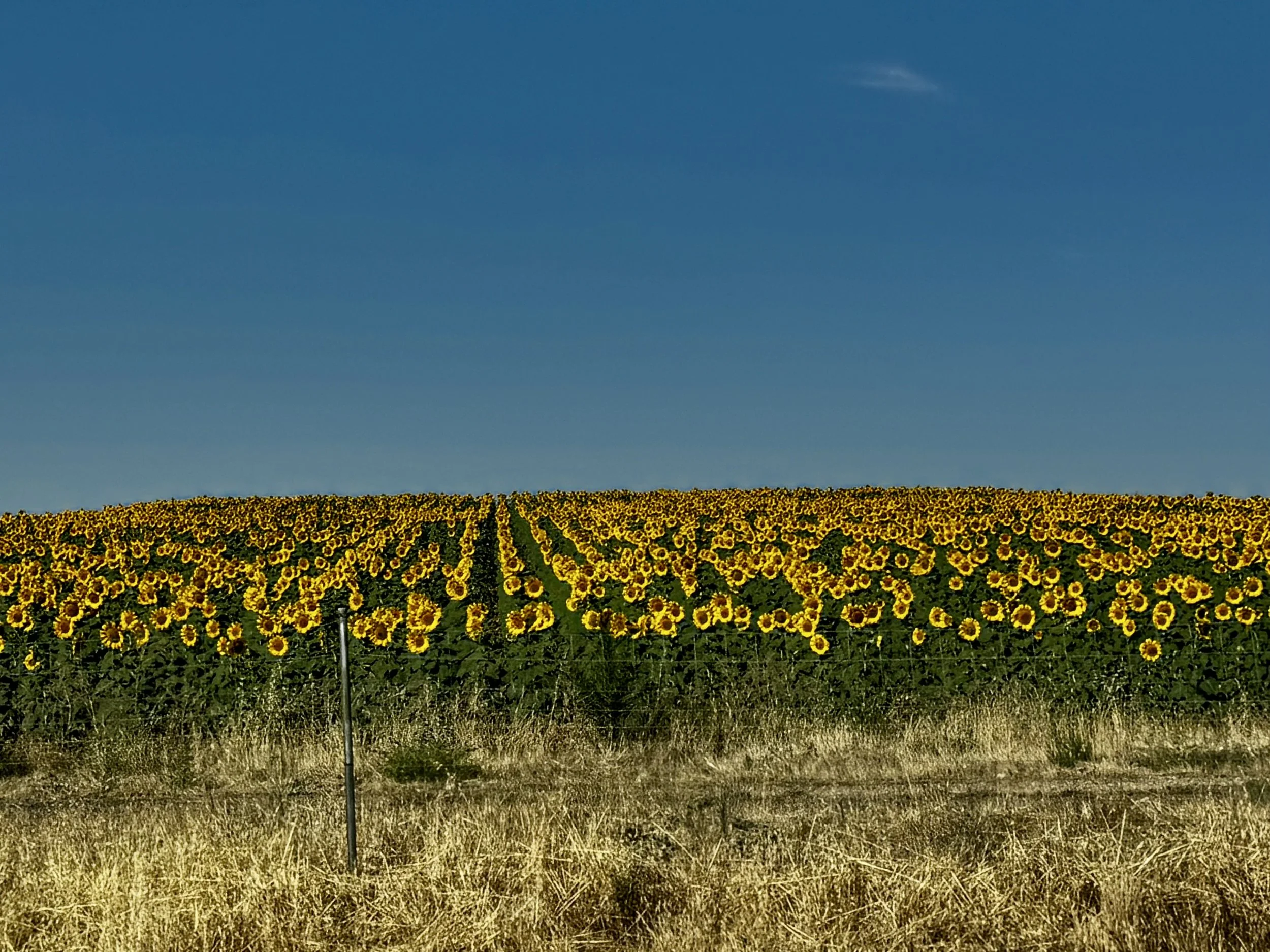Along the roadside headed south from Bilbao to Madrid