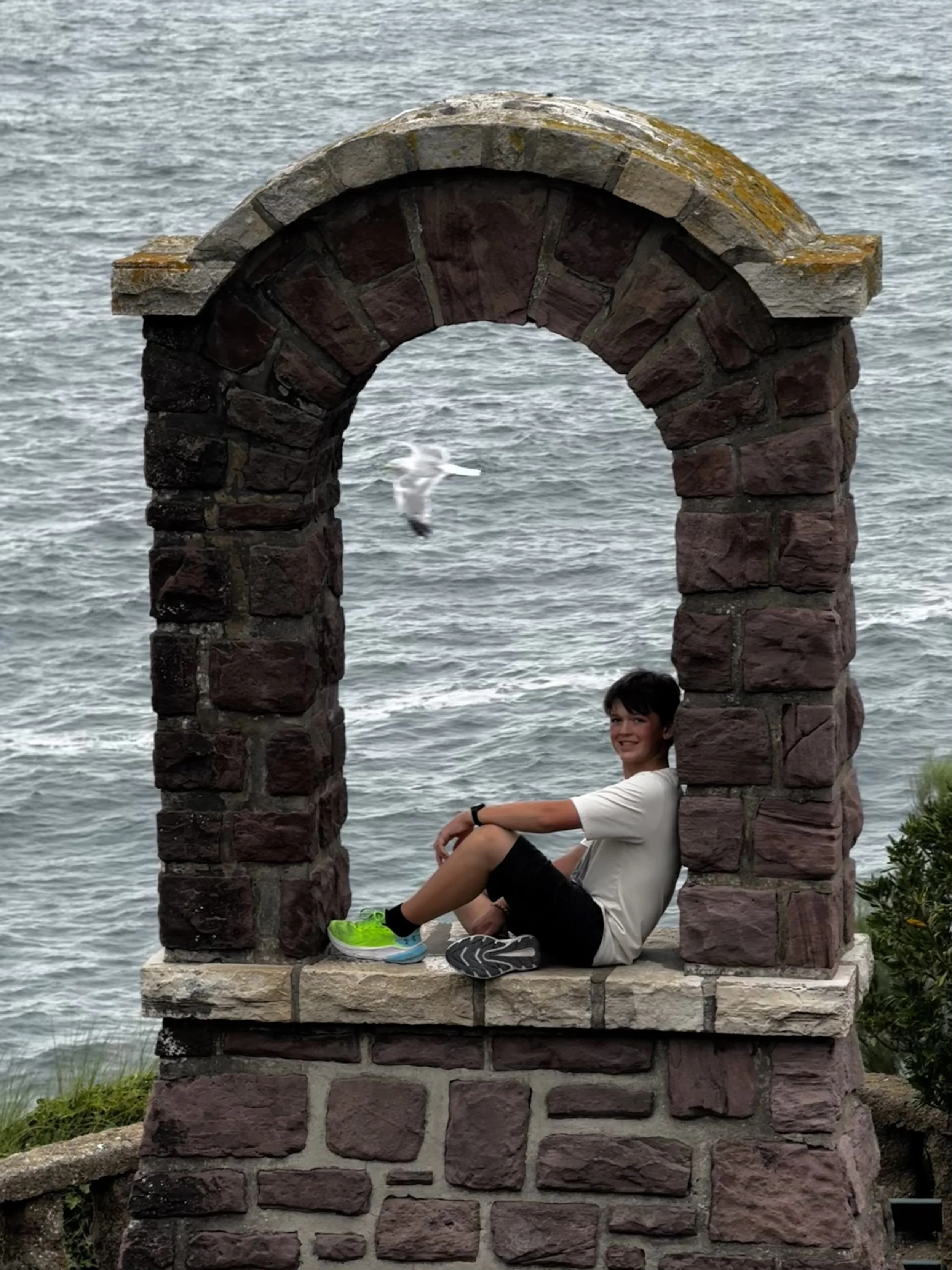 Peep the sea gull flying by!