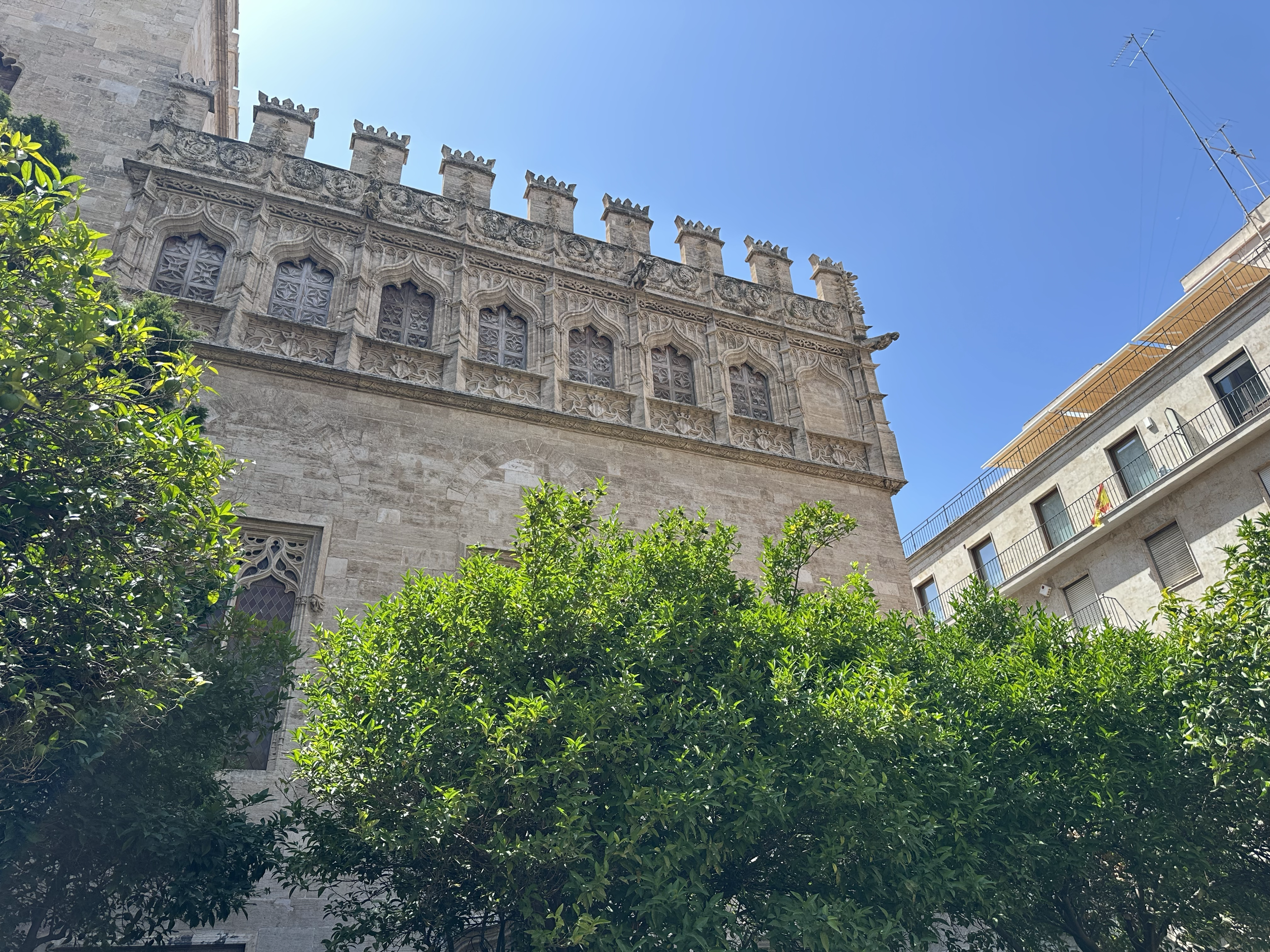 The Orange Tree Courtyard at La Lonja