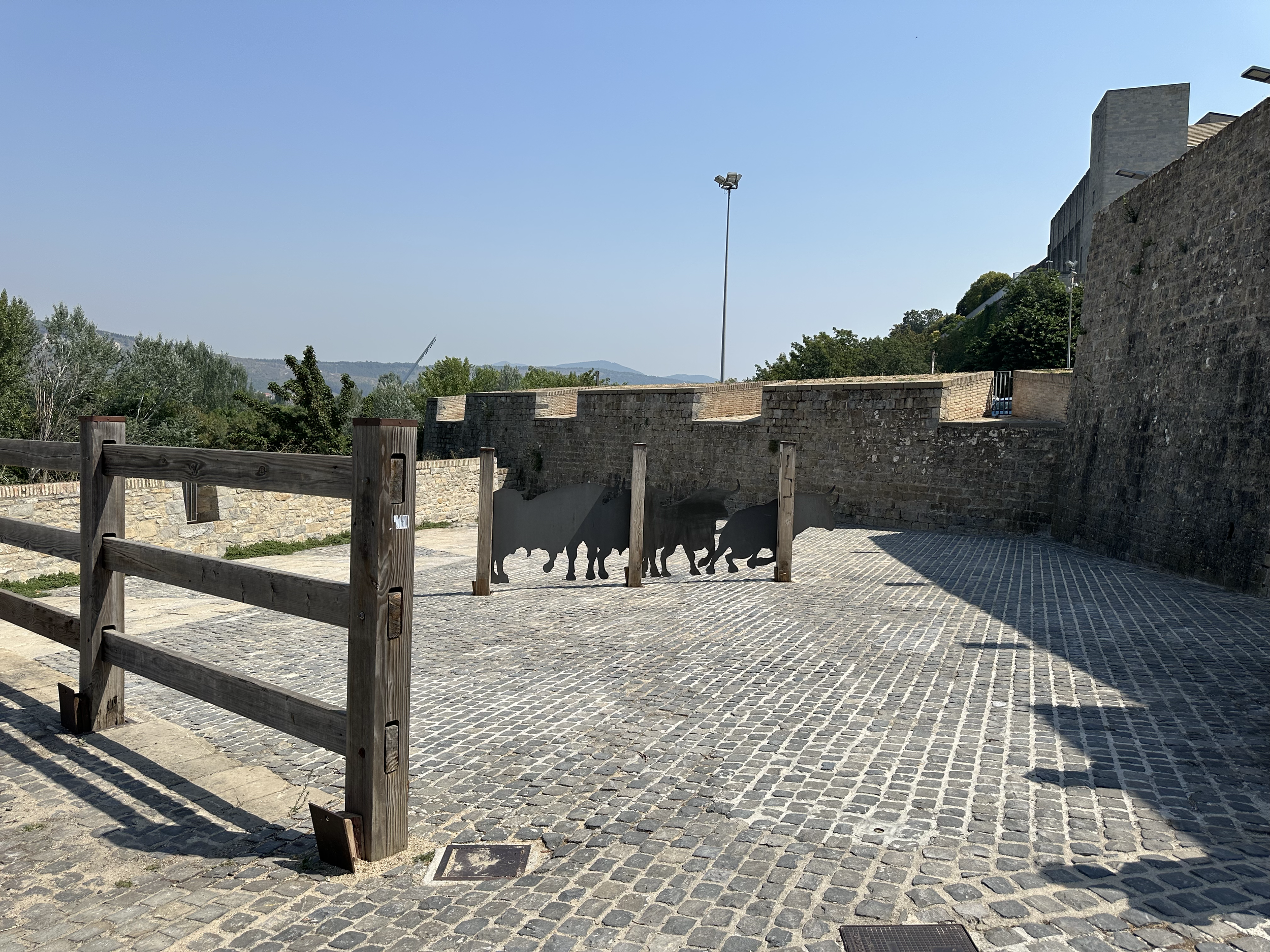 The bull pen is located at the beginning of the route.  Every morning the bulls are provided by a different ranch and are held in this area until a rocket is set off signaling the release of the bulls.  There are  6 bulls that run in the morning who 