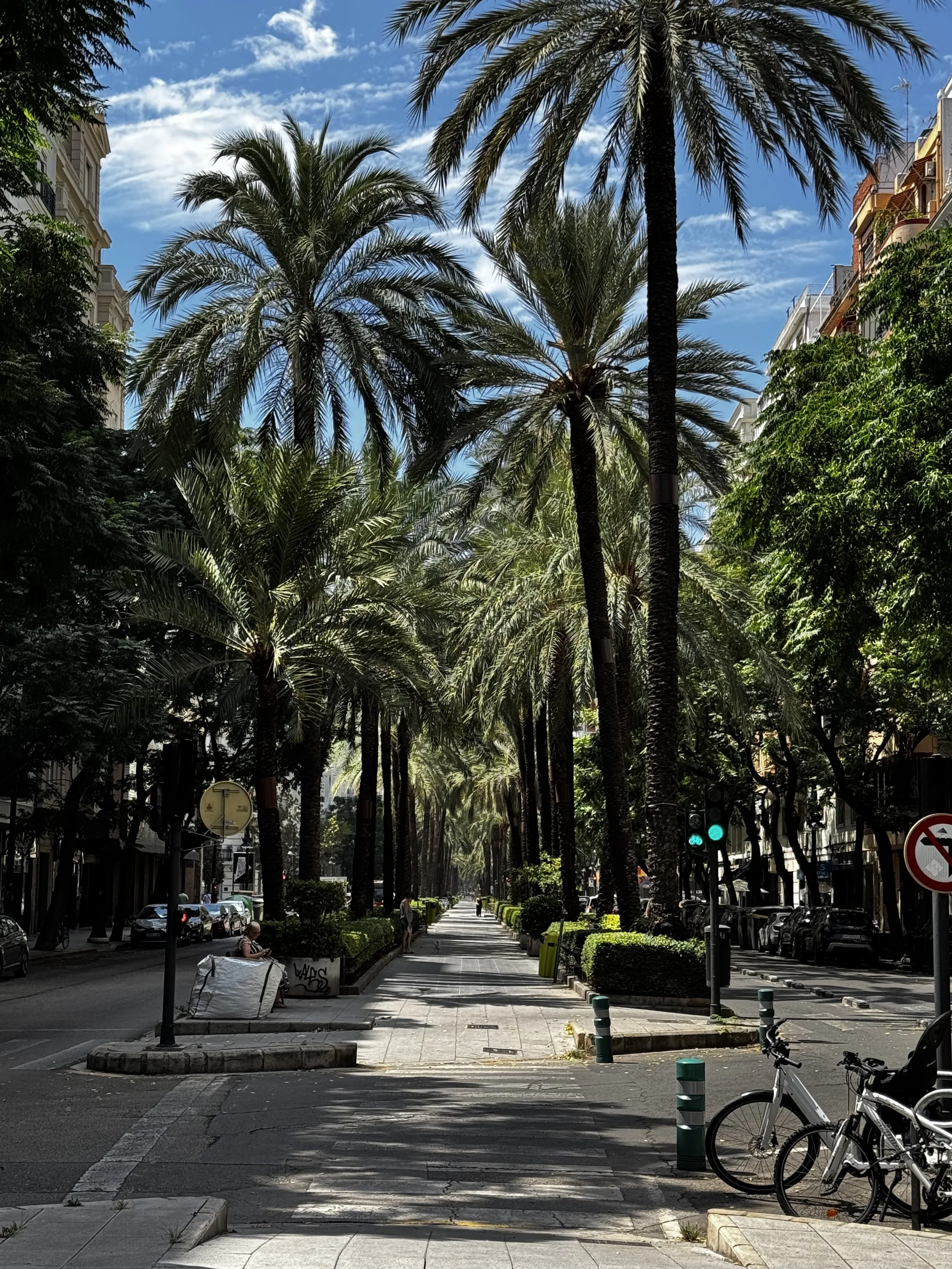 Tree-lined and sun-drenched pedestrian avenues.  (John's favorite). 