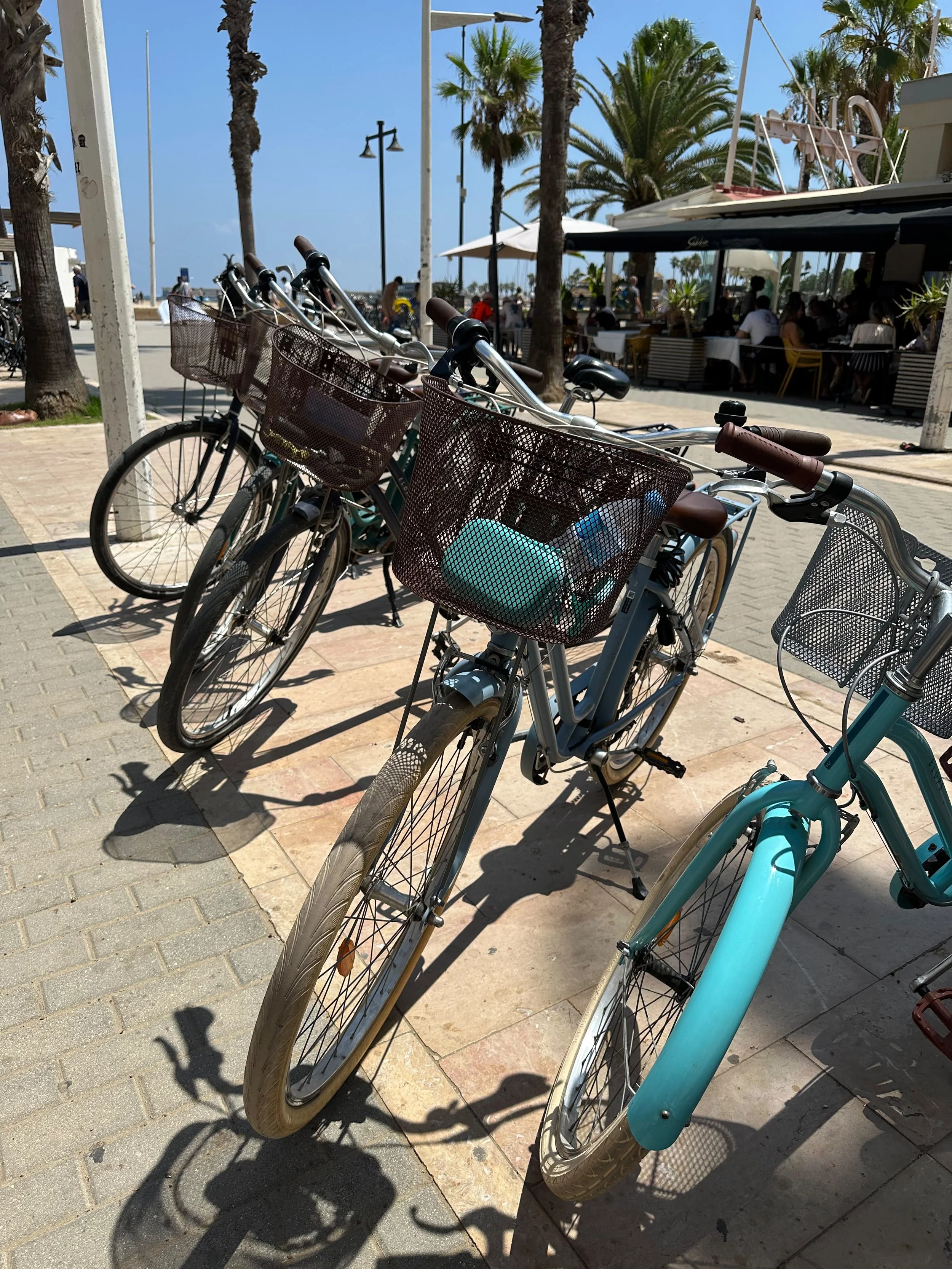 A long bike ride to the beach.  And now, time for a quick snack. 
