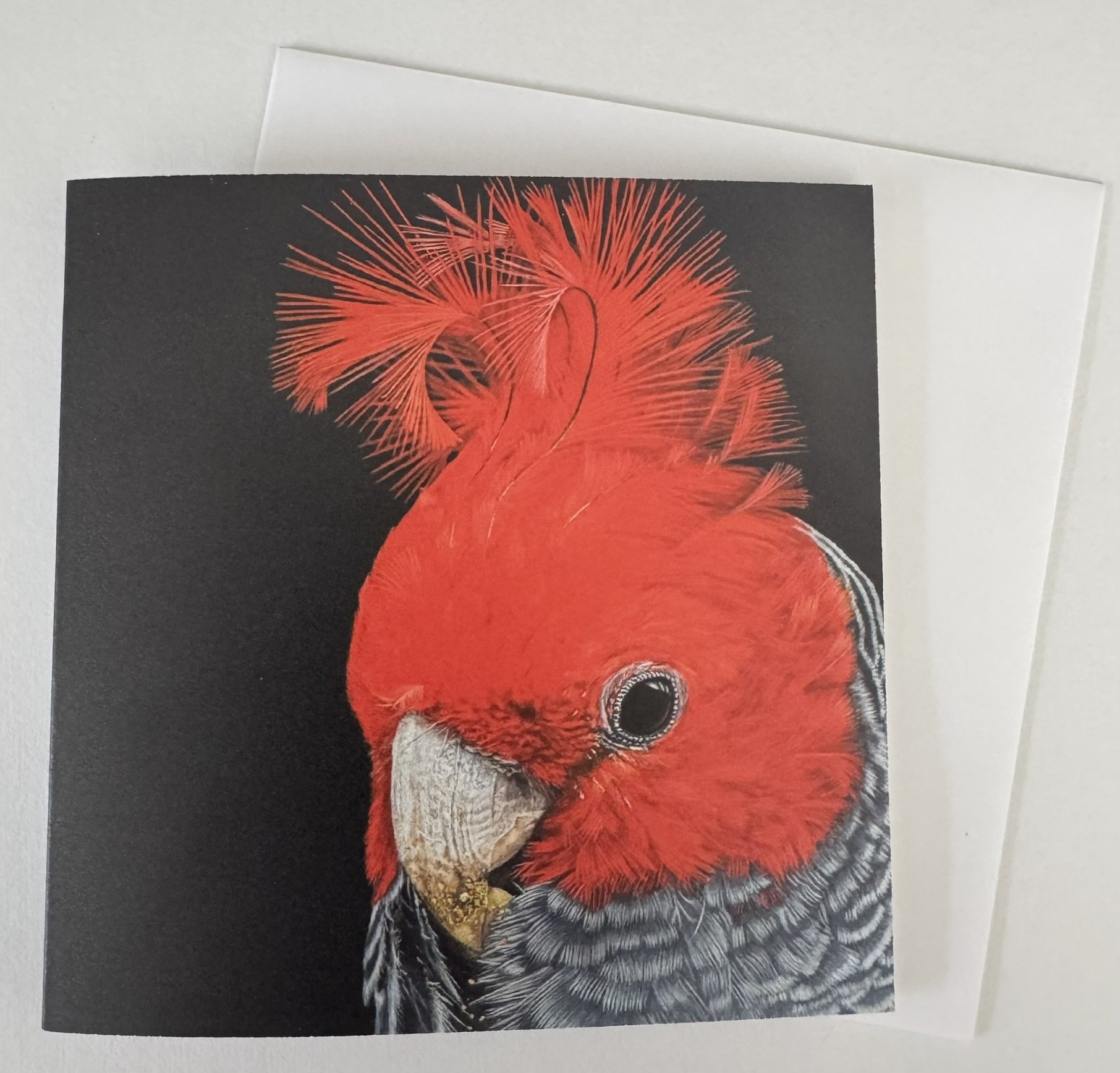 Sparky the Gang-gang Cockatoo - Greeting Card