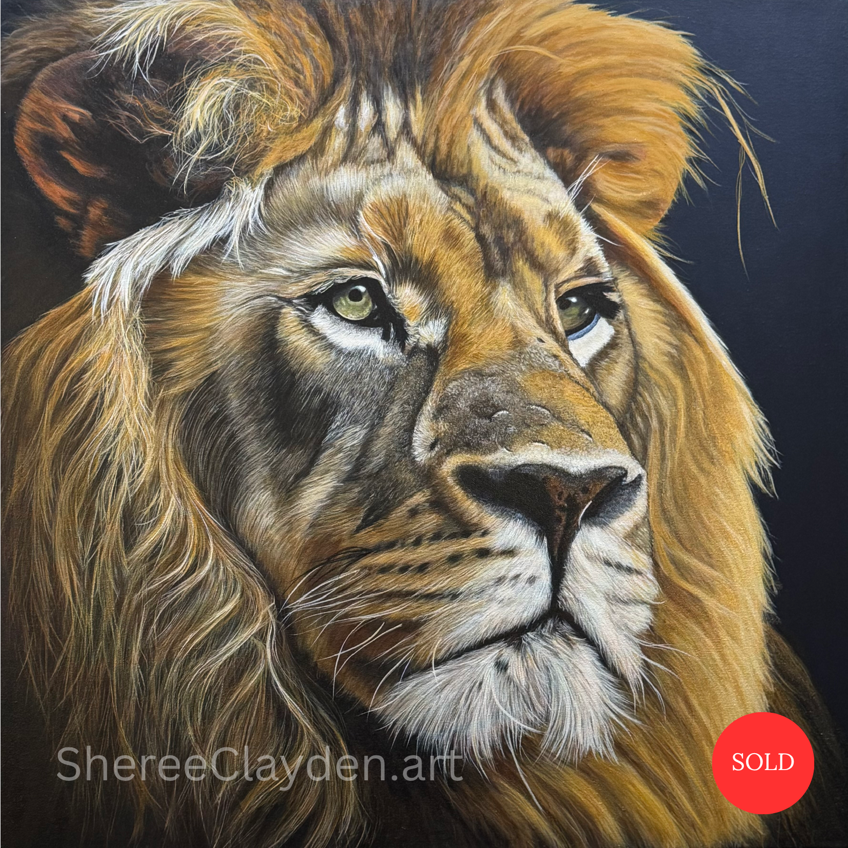 King has the kind of strength that doesn't need to be shown. There's a calmness to him, a quiet confidence, as he looks into the distance, watching, waiting, completely sure of himself.

He arrived slowly, layer by layer, built from warm gold, russet