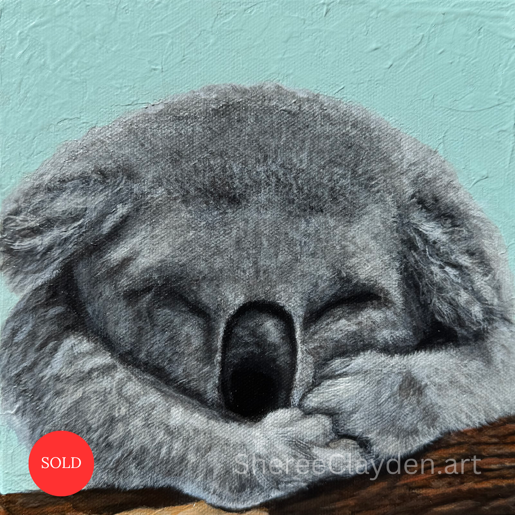 Bonnie - Koala

A koala can sleep for most of the day, curled into the fork of a eucalypt, completely dependent on the trees around her. The trouble begins when she wakes up and those trees are gone.

Not far from me in Appin, development continues t