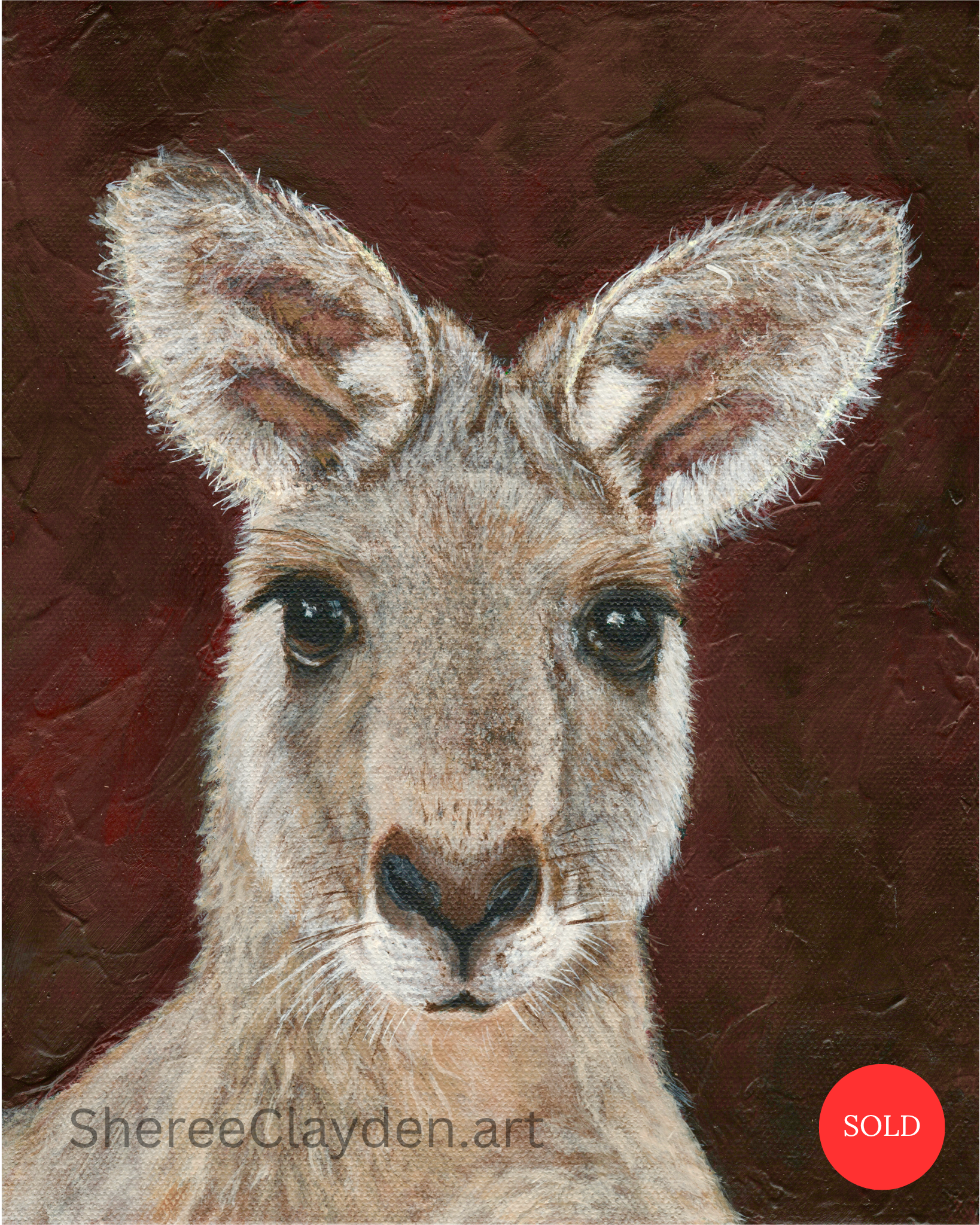 Merri - Eastern Grey Kangaroo

Merri is an Eastern Grey, and around Batemans Bay they're part of everyday life. One of my favourite things about driving to Mum's is seeing them stretched out in the grass, lazing in the sun or hopping casually down th
