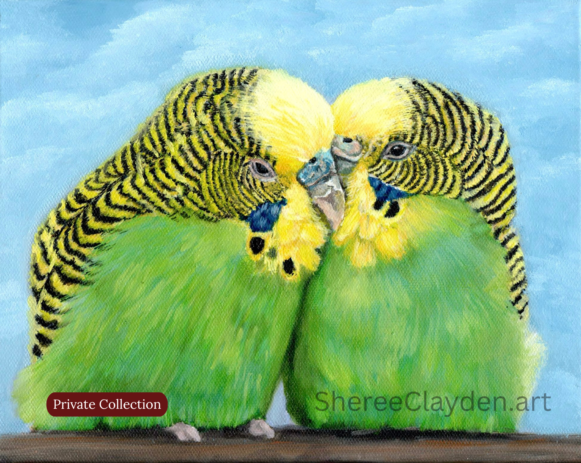 Billie and Beau - Budgerigars

Belle and Beau remind me of the first time I saw budgies in the wild, on our trip through Alice Springs and Uluru. The noise, the colour, the sheer number of them — gorgeous little birds doing exactly what birds are mea