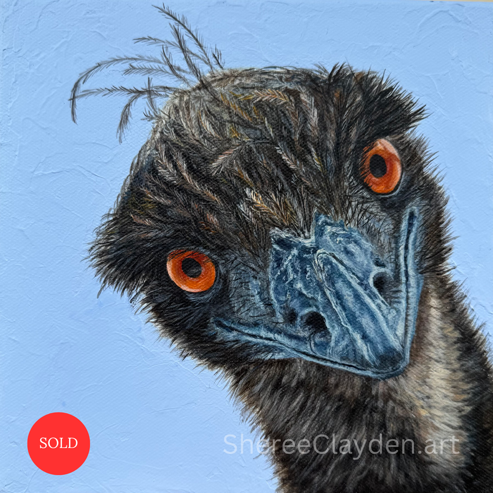 Eddie - Emu

I went all the way to the Australian outback looking for an emu and didn't see a single one.

Uluru, Alice Springs, all the way up to Darwin. I was so excited about seeing these incredible birds out in the wild, in their own country. Edd