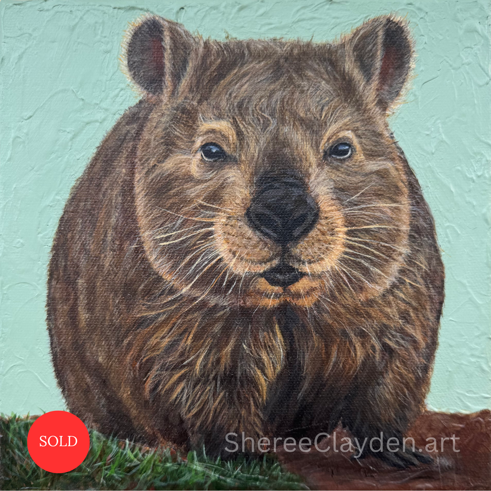 Bruce - Wombat

Bruce looks like a big, soft ball of fur. But he's not. He's a solid ball of resilience and power. There's so much more to wombats beyond the things that make them wonderfully weird: backwards-facing pouches, armour-like backsides and