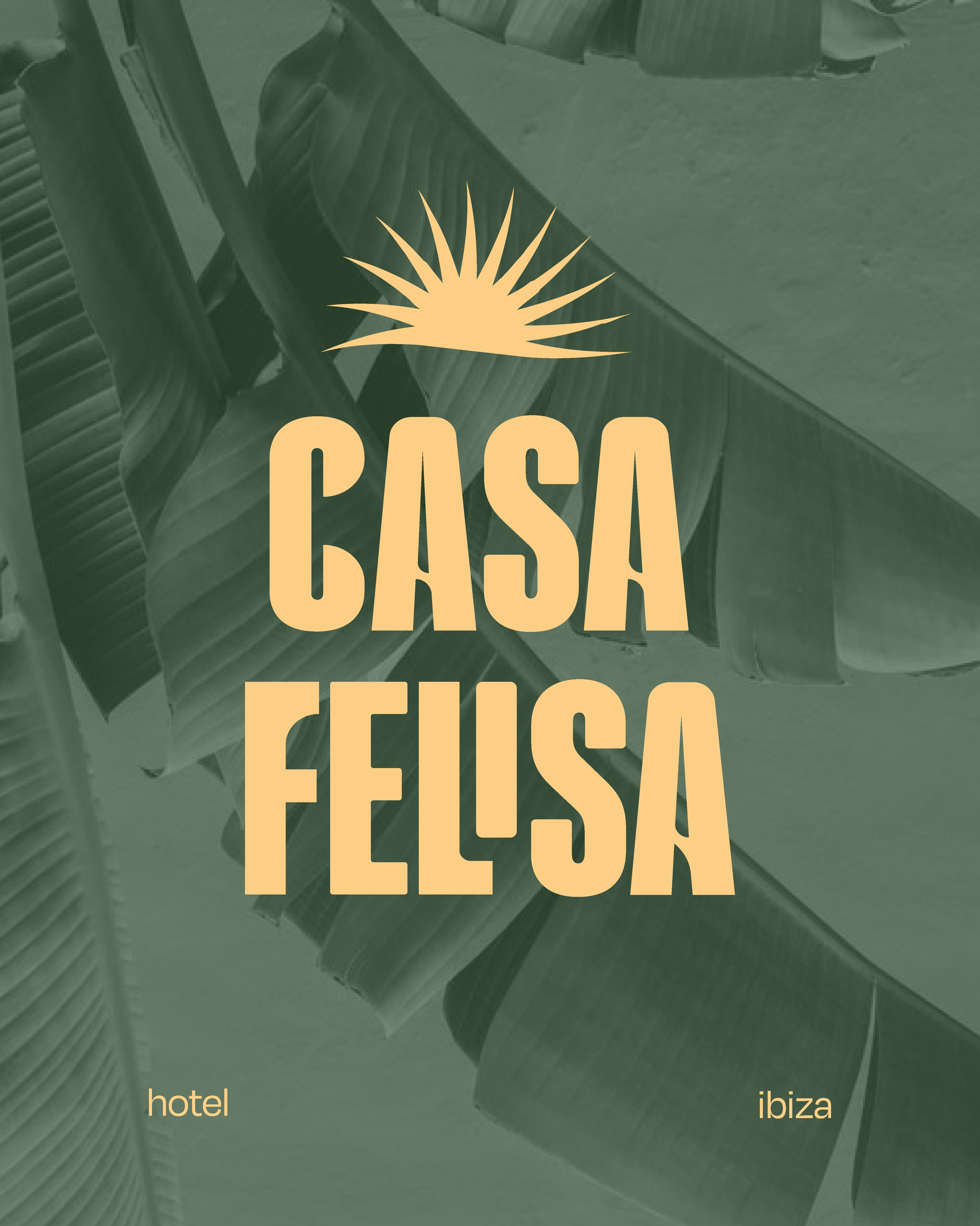 Identidade Visual | Branding