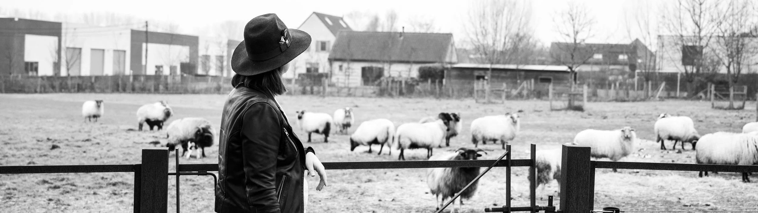 A person wearing a leather jacket and wide-brimmed hat, looking at a field of sheep and goats, in black and white.