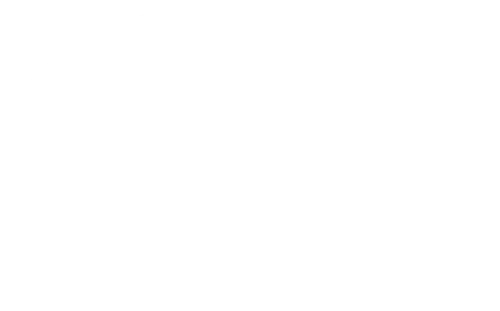 Boots logo