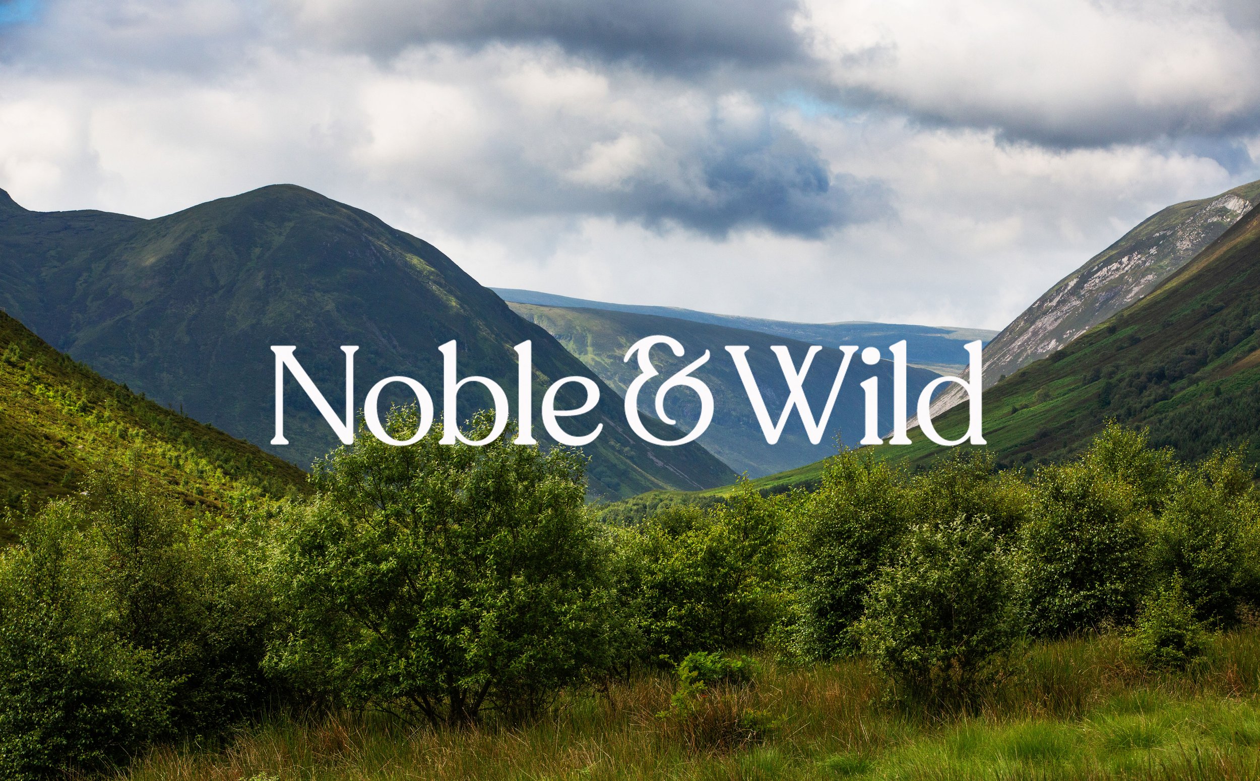 NOBLE &amp; WILD