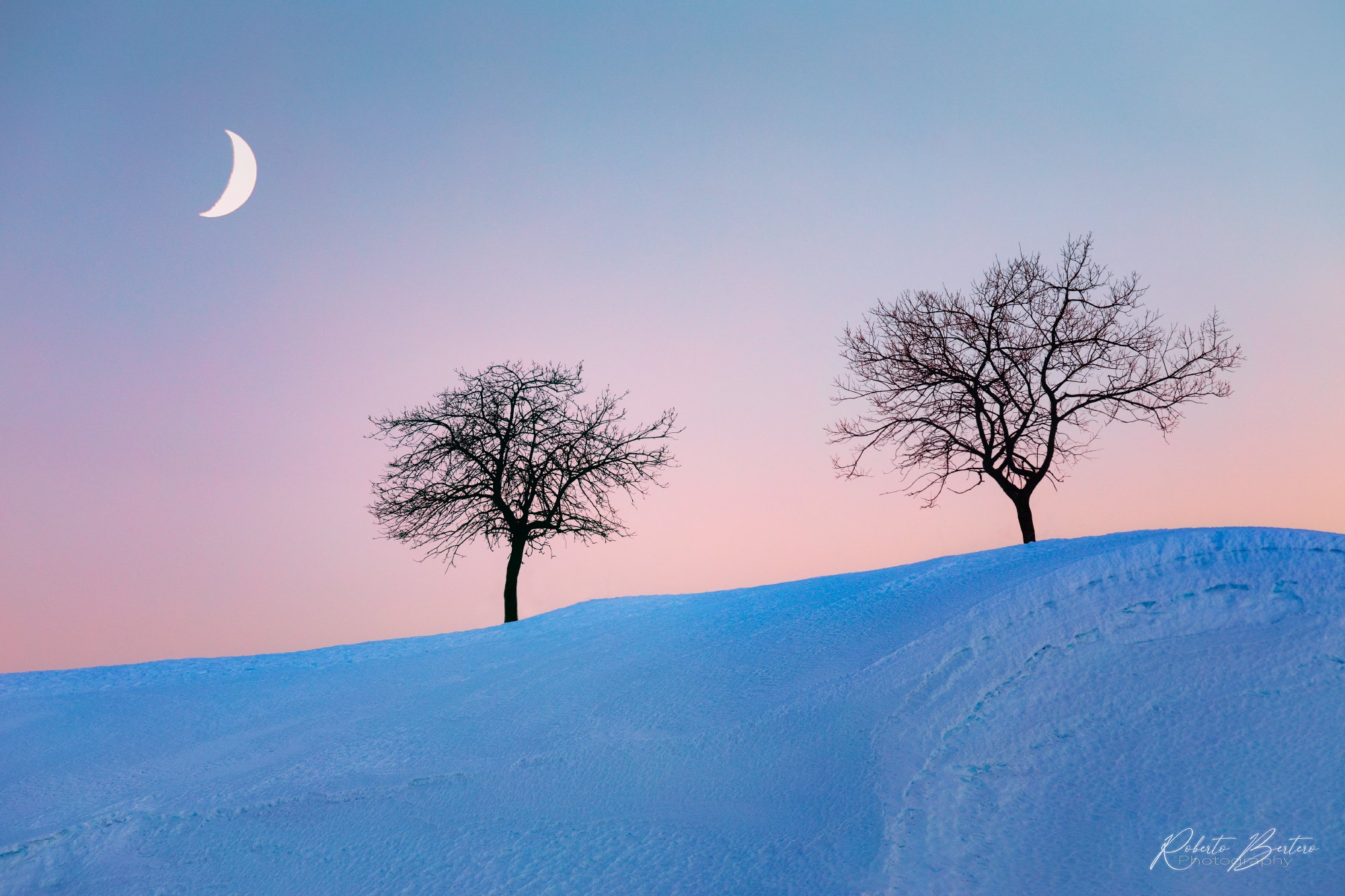 In the Silence of the Evening.jpg