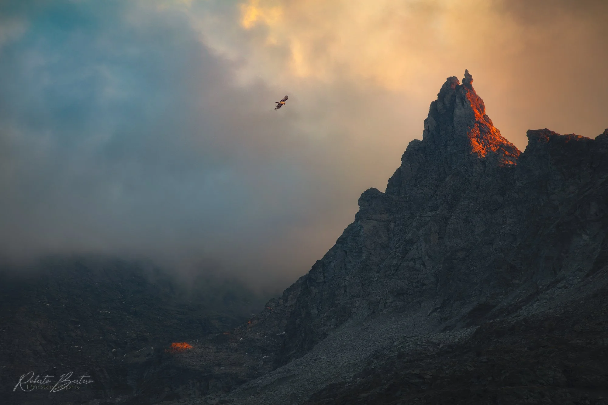 The Peak and the Bearded Vulture.jpg