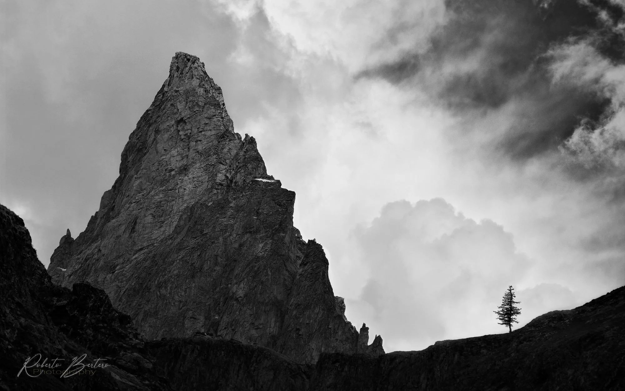 Peak and Tree