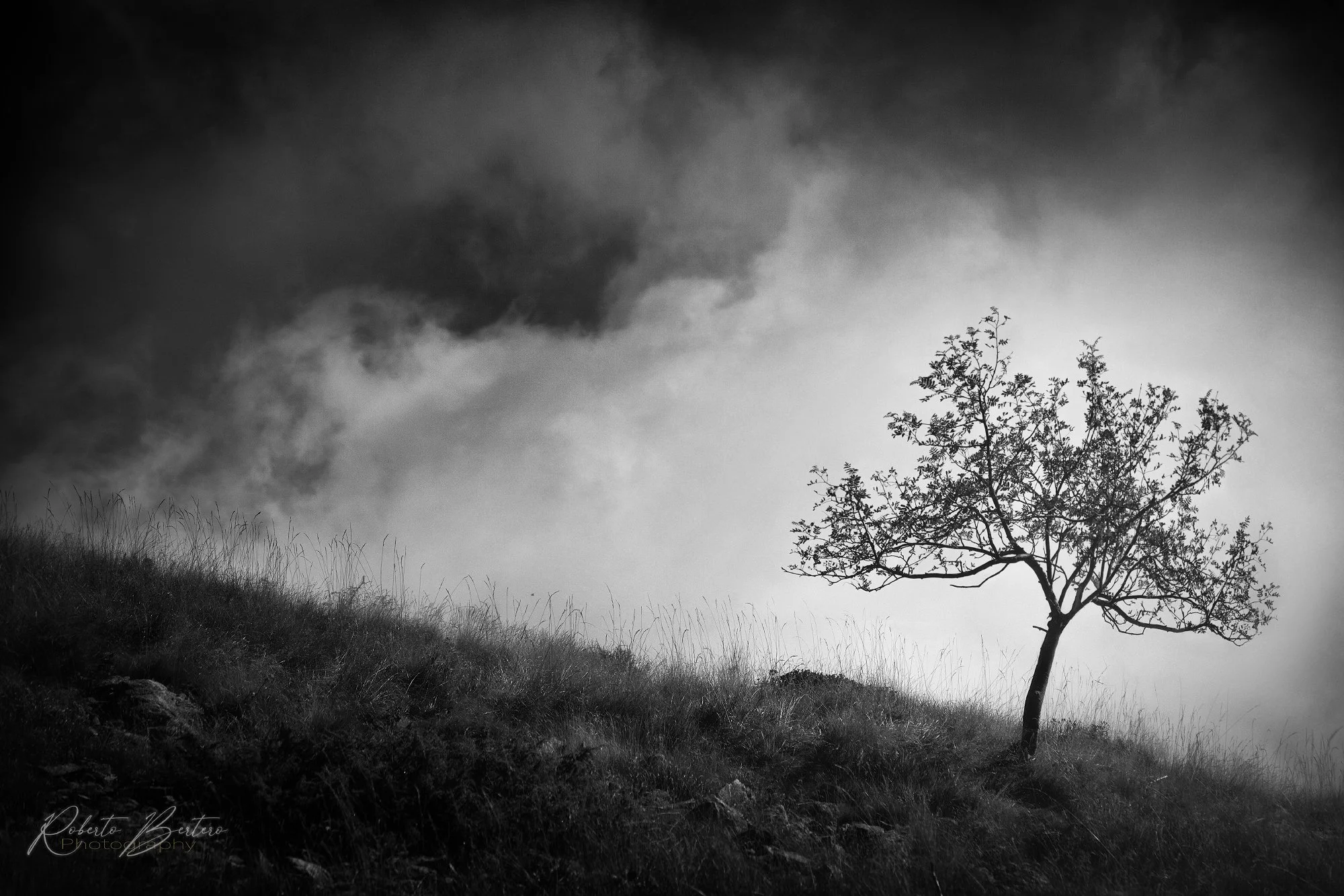Silent Dialogues