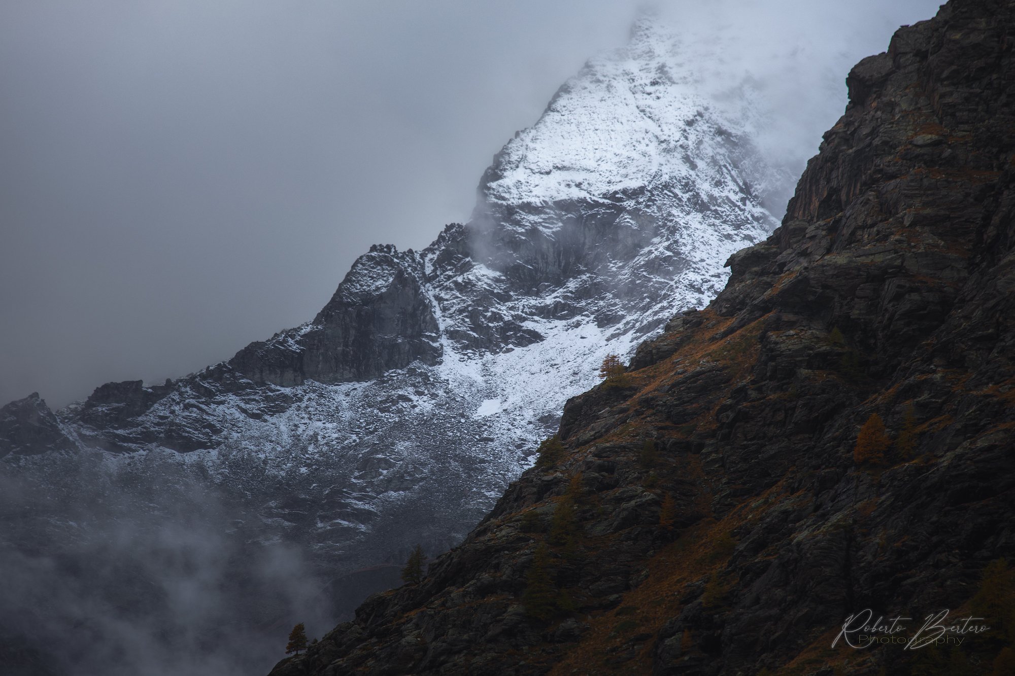Mystical Alpine Profiles