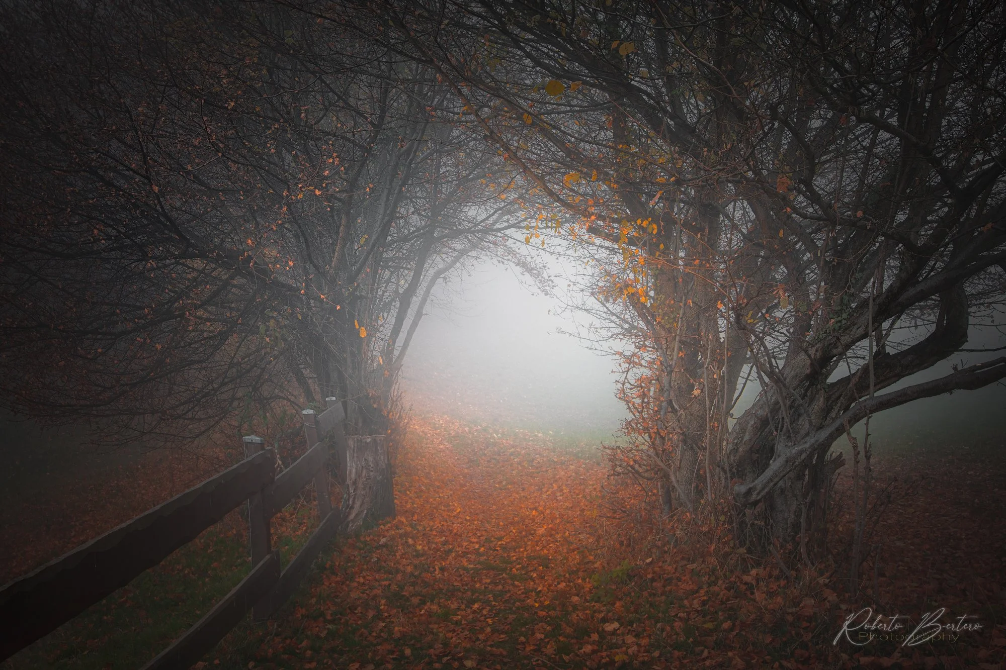Passage to Another Dimension