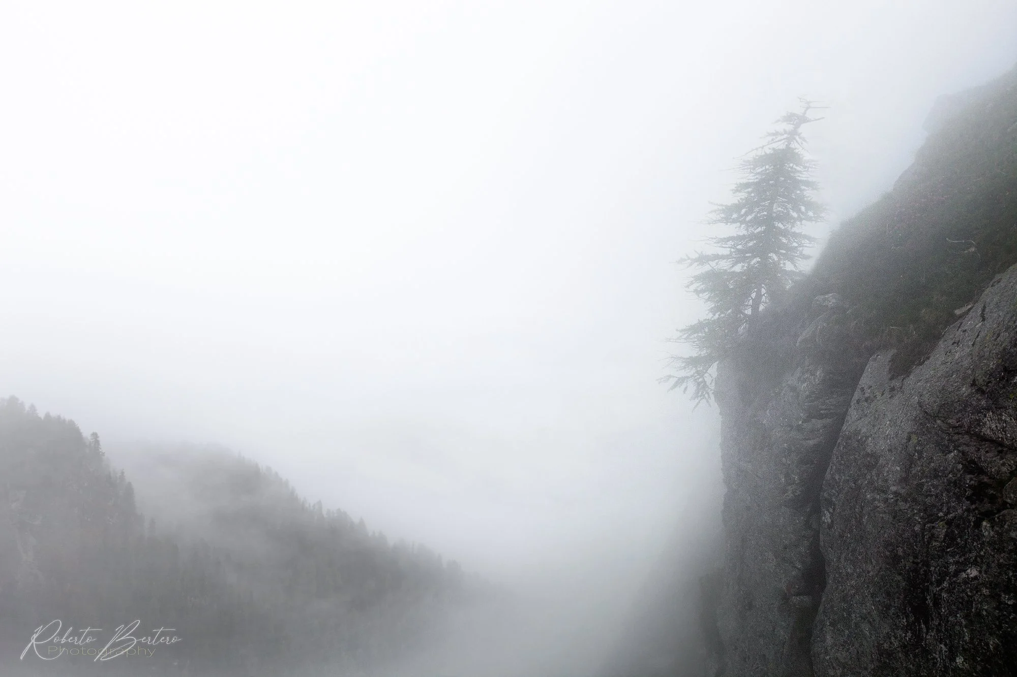 A Life on the Abyss