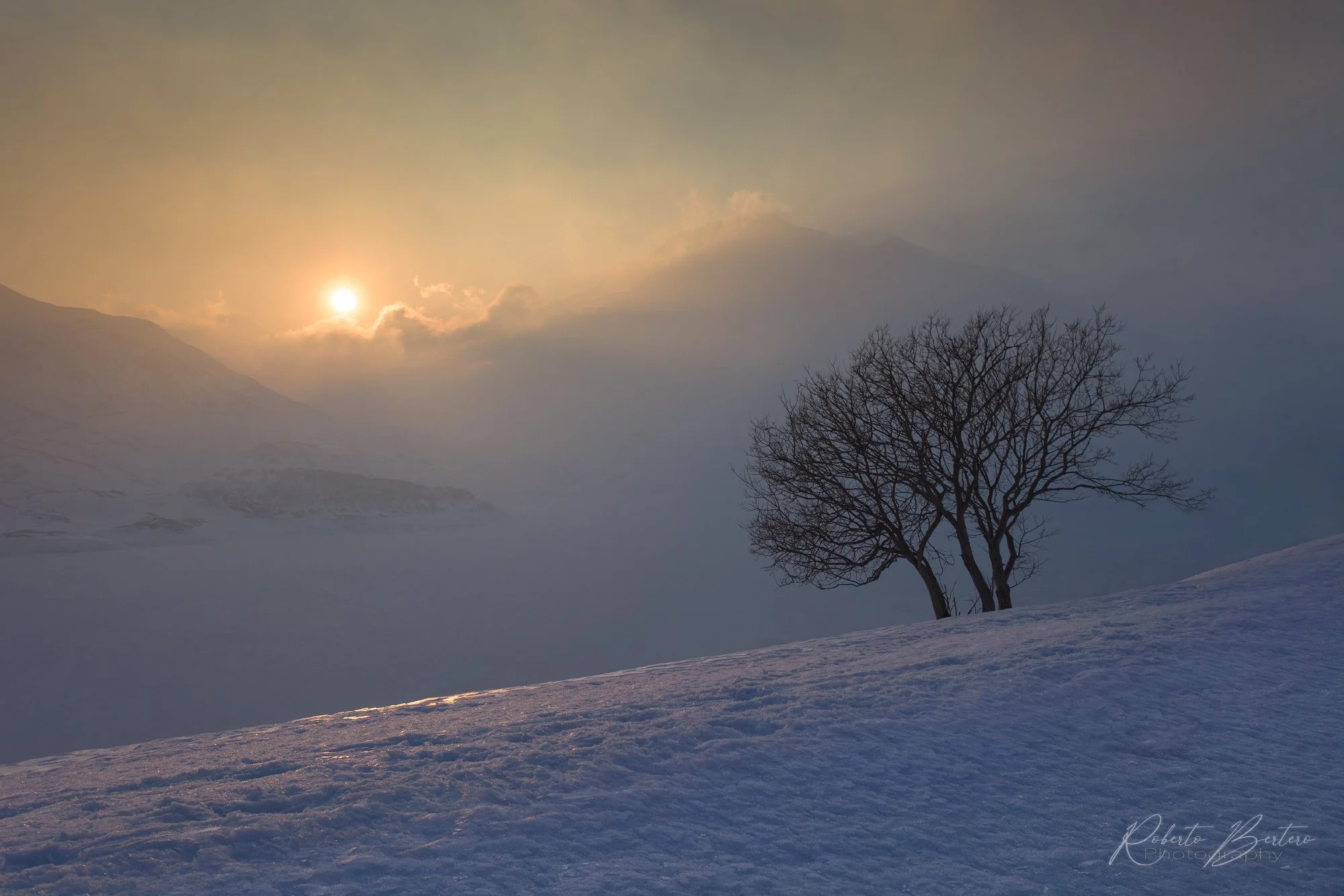 Frozen Landscape