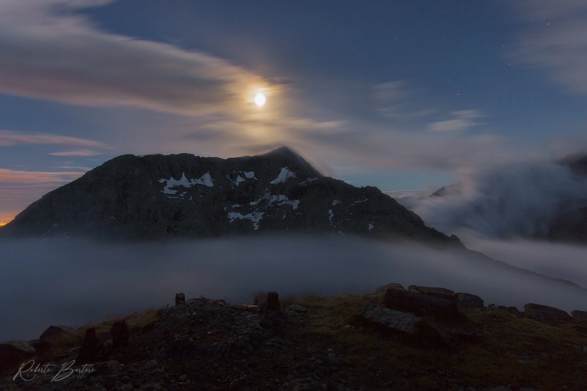 Moonlit Night