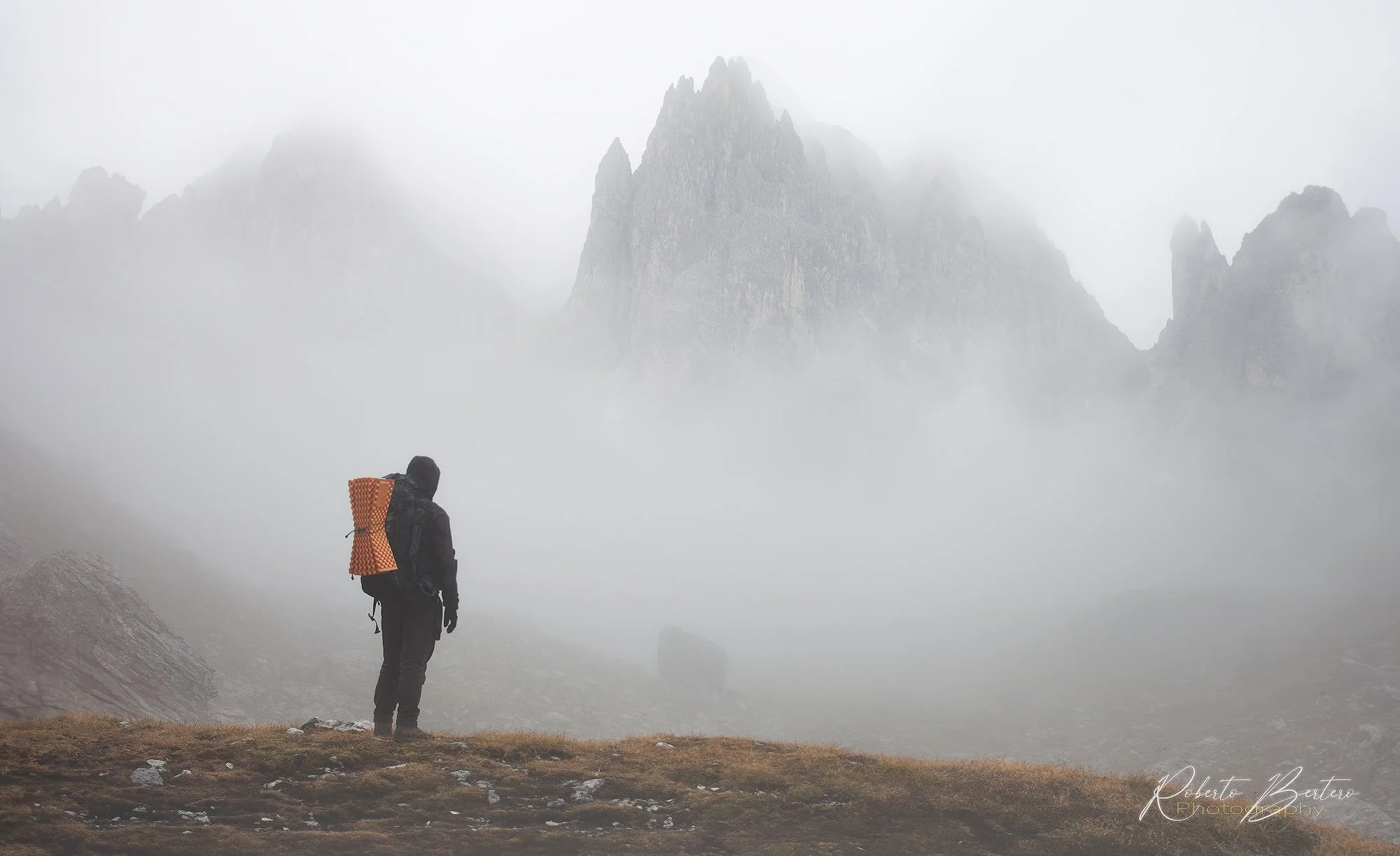 The Wanderer in the Fog.jpg