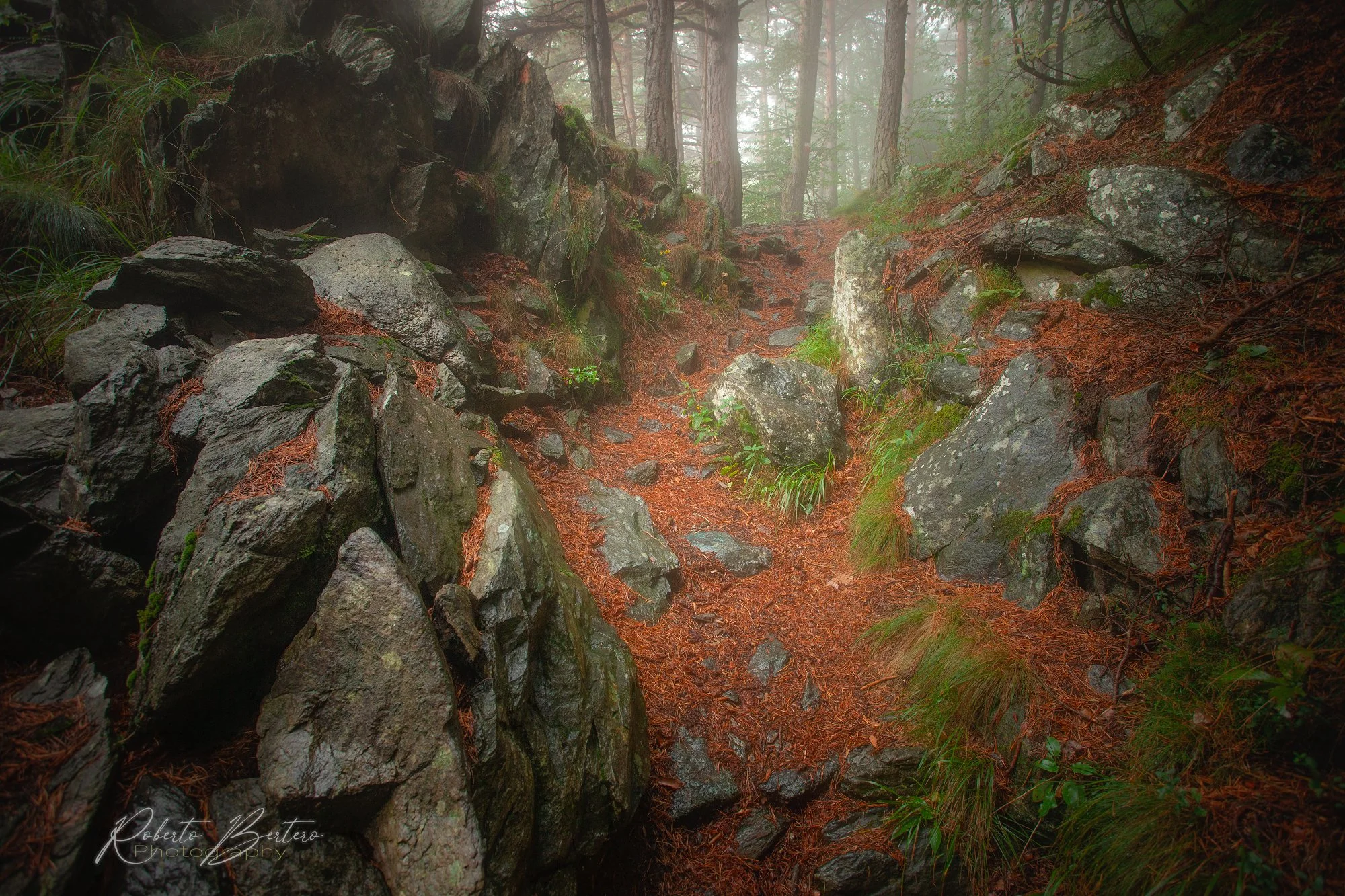 Path of the Soul