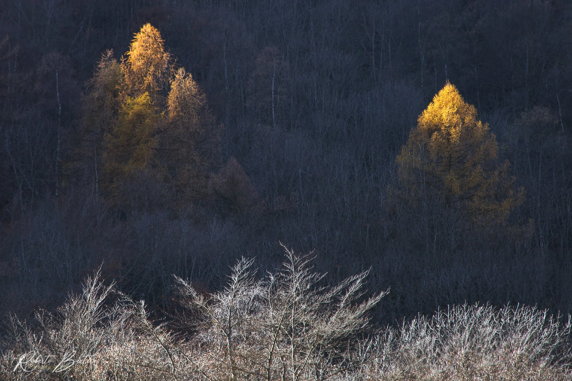 Play of Light