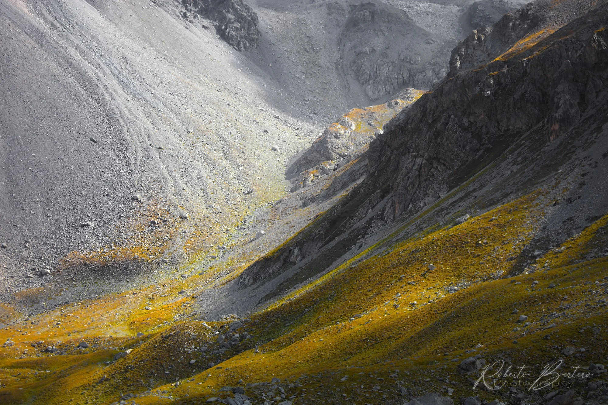 Dialogues of Light and Colours