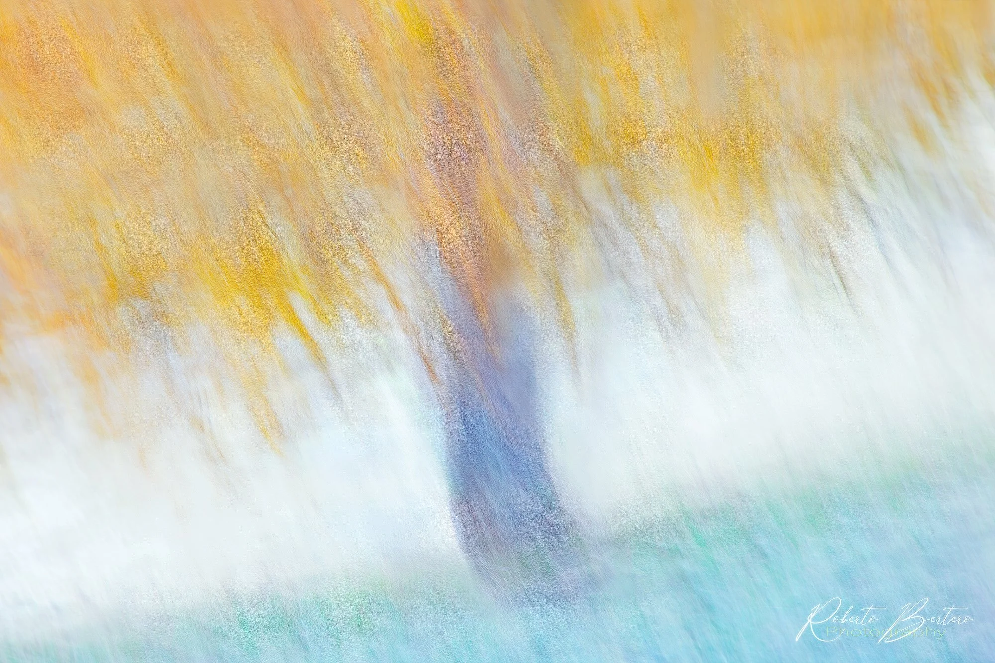 Oneiric Tree