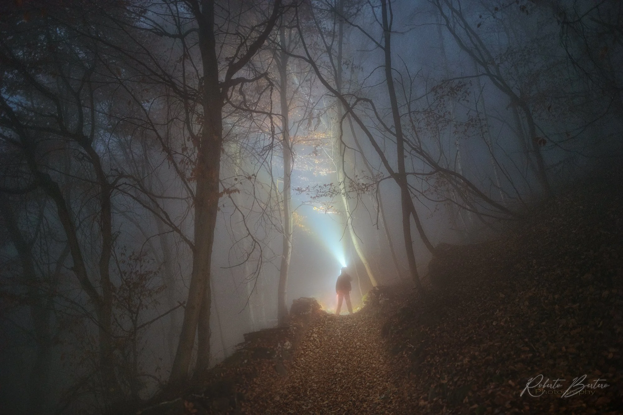 I Found Myself in a Dark Forest