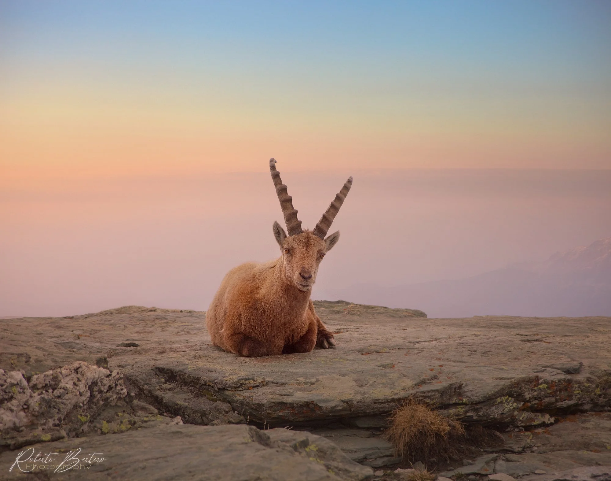 A Peaceful Moment