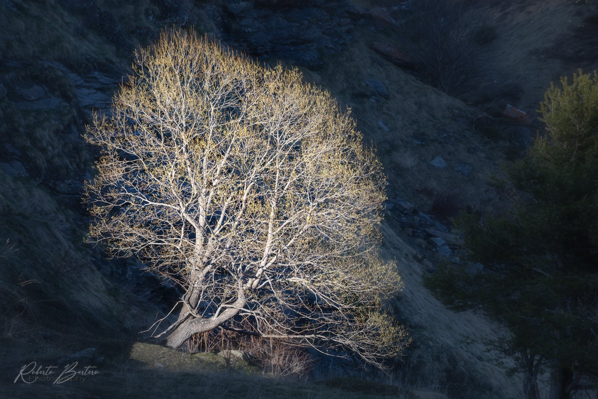 A Touch of Light