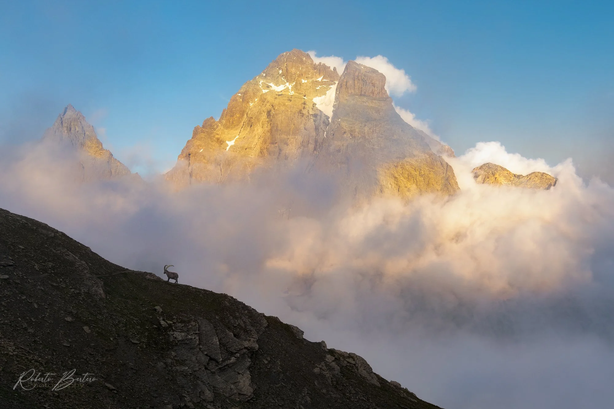 Monviso and Ibex