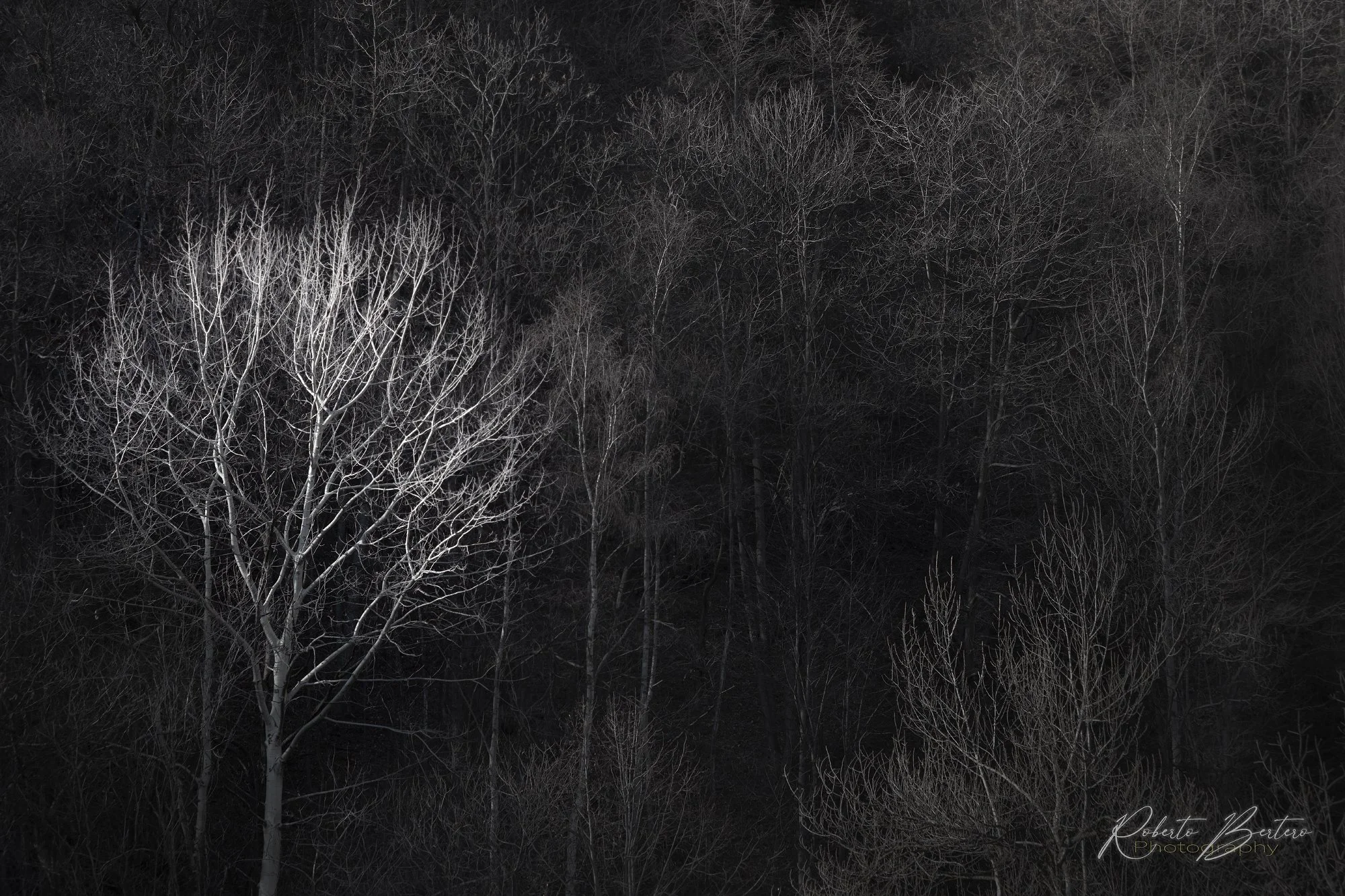 Dark Textures