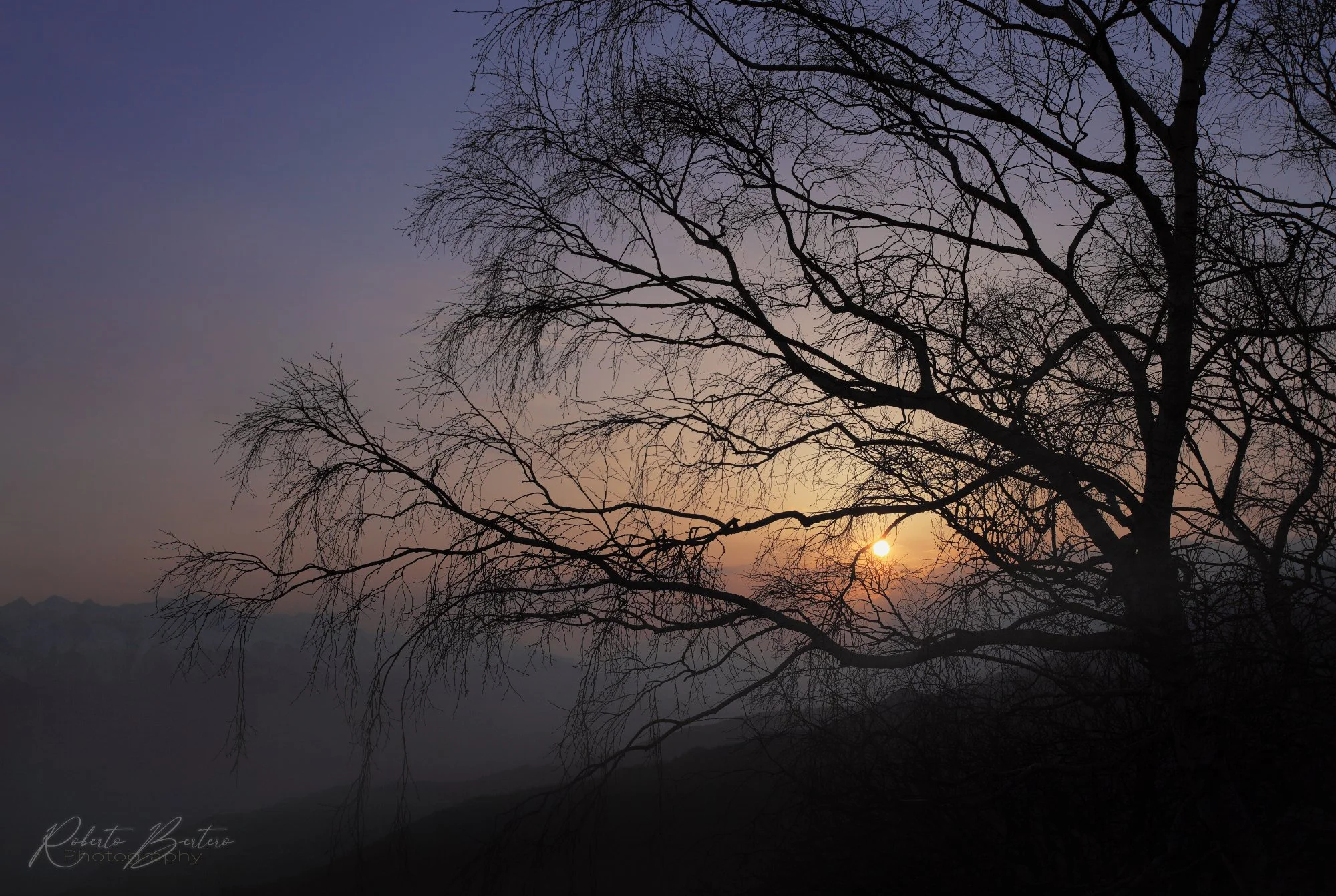 The Day Silently Fades Away