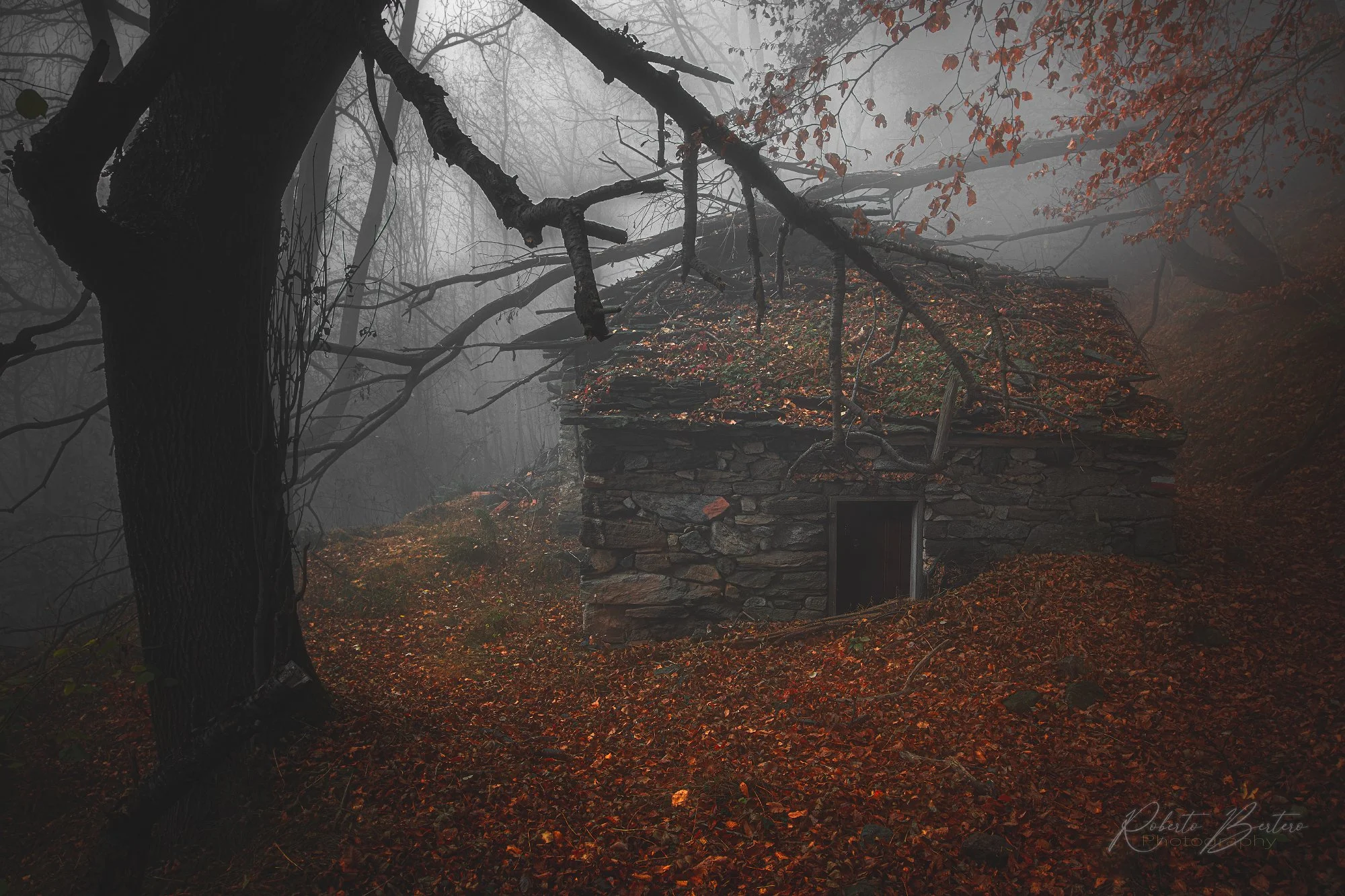 The Witch's House