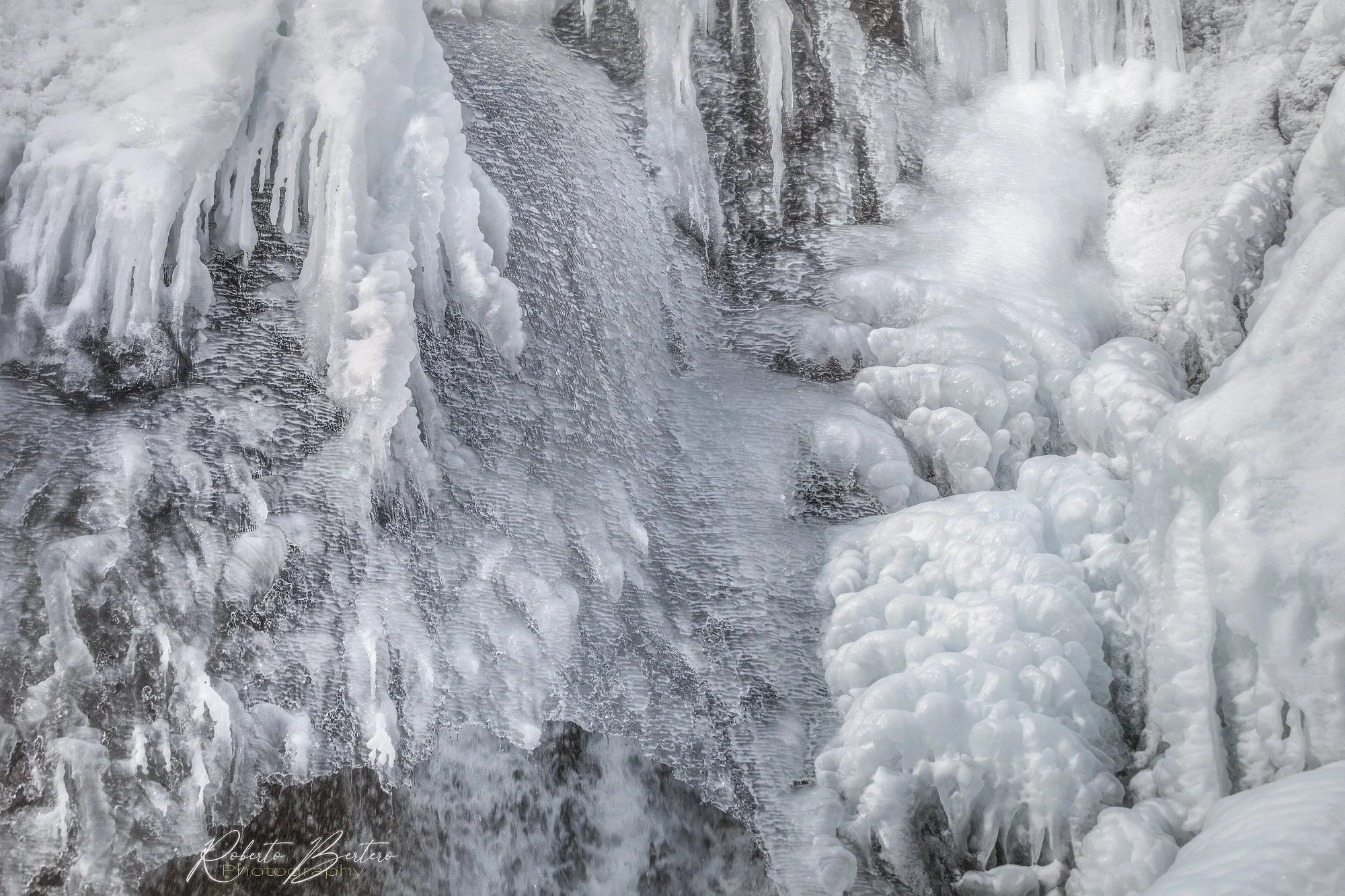 In the Grip of Frost