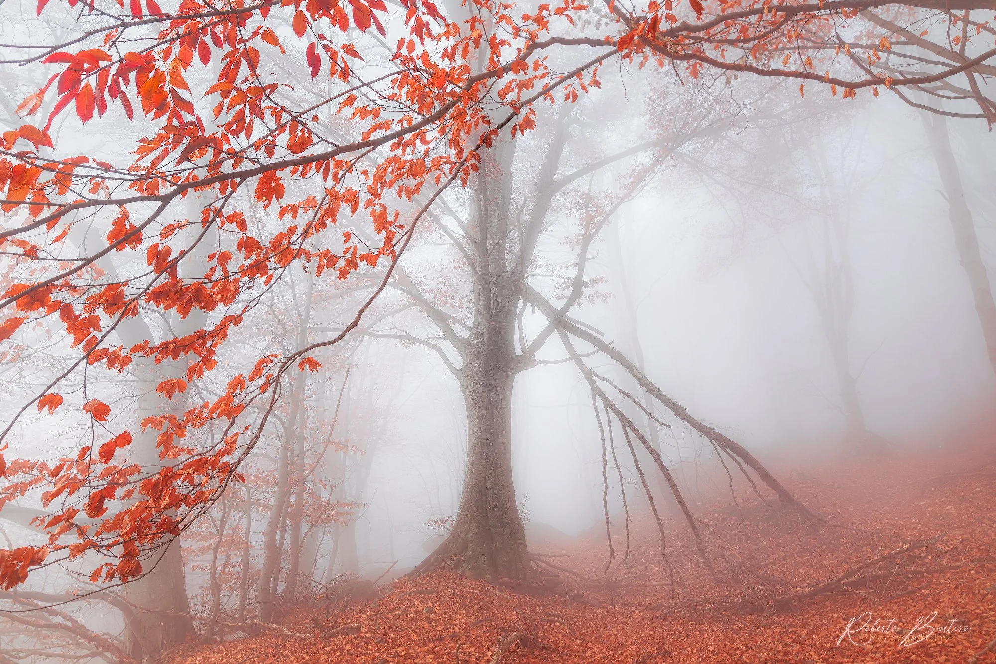 The Breath of Autumn