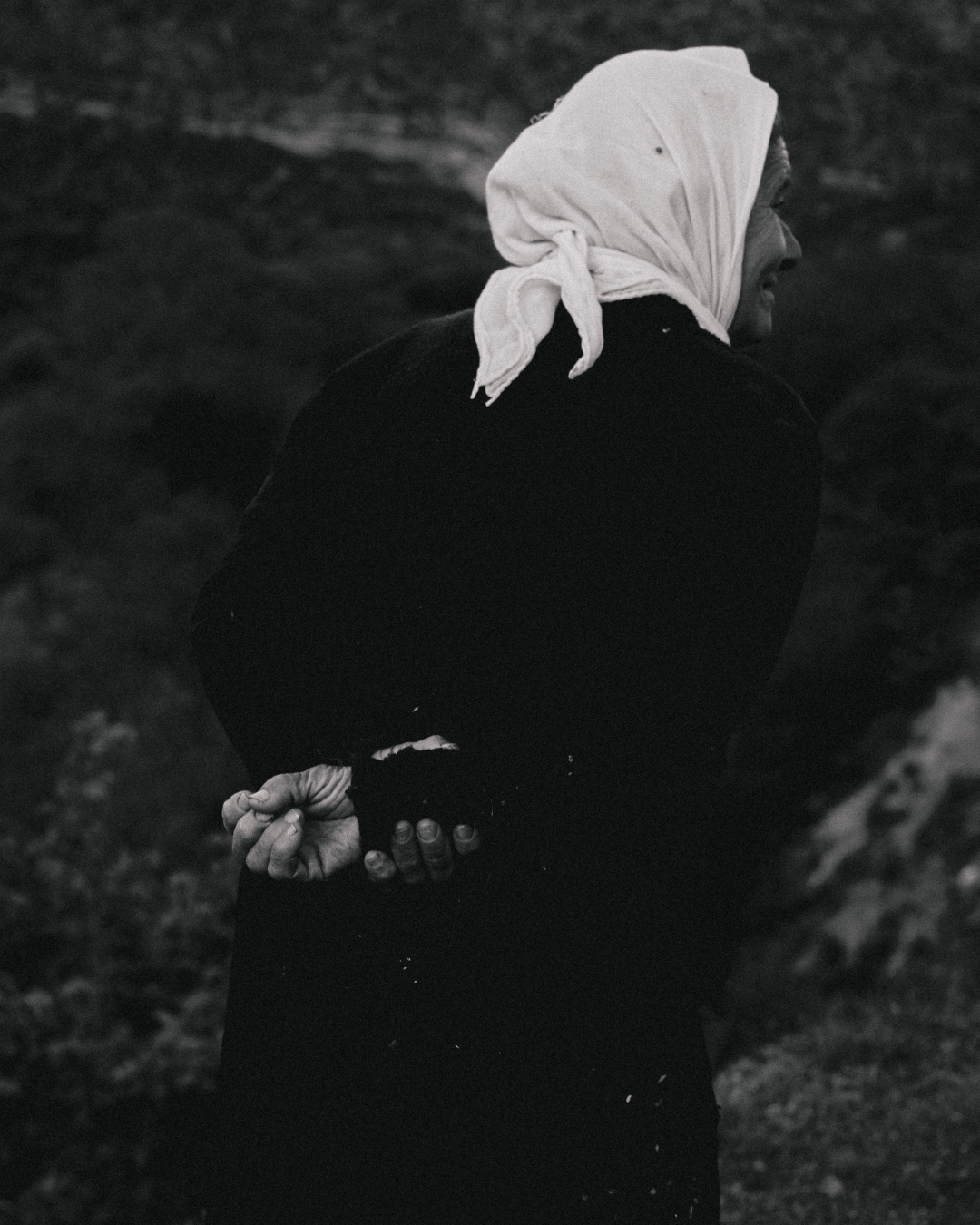 Women Mountains - IV